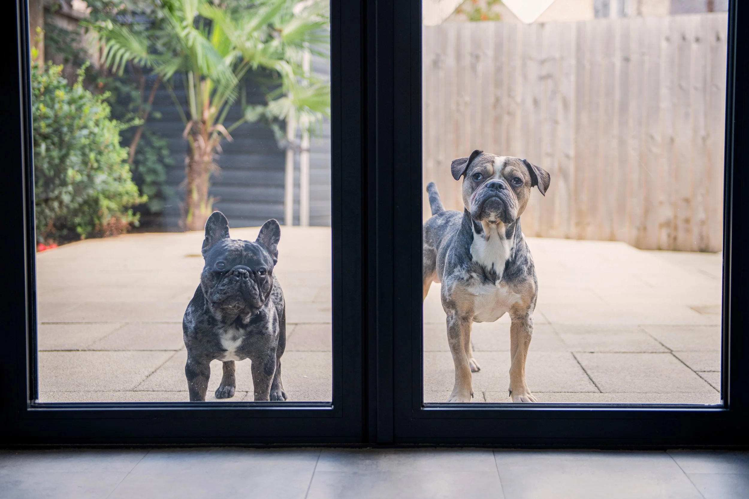 Borris&Rocco-146.jpg