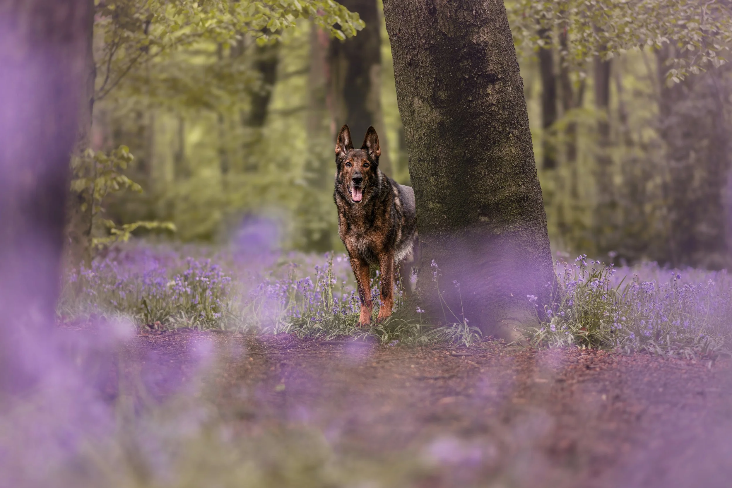 Otto040526-36.jpg