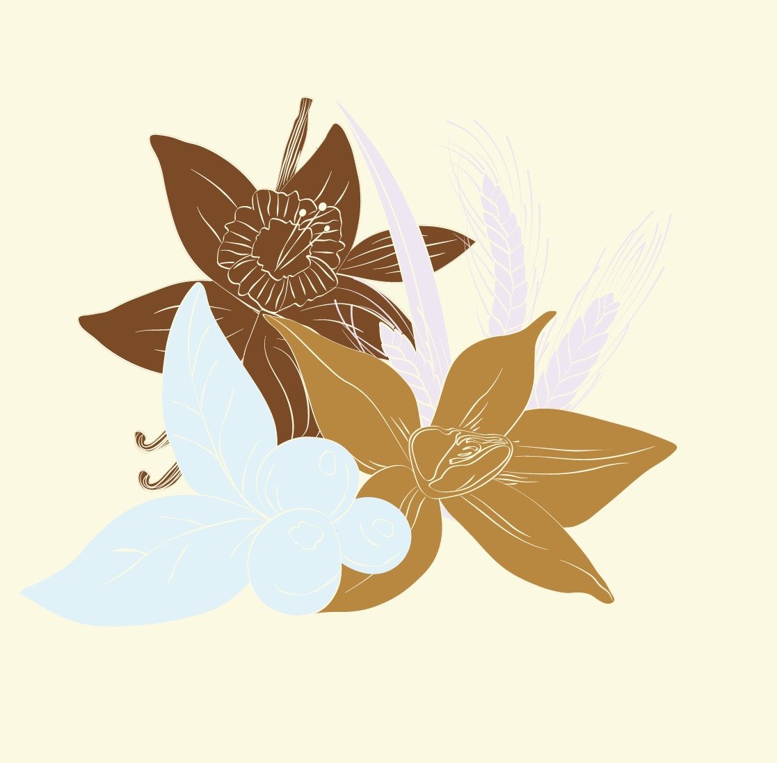cacao-05.jpg