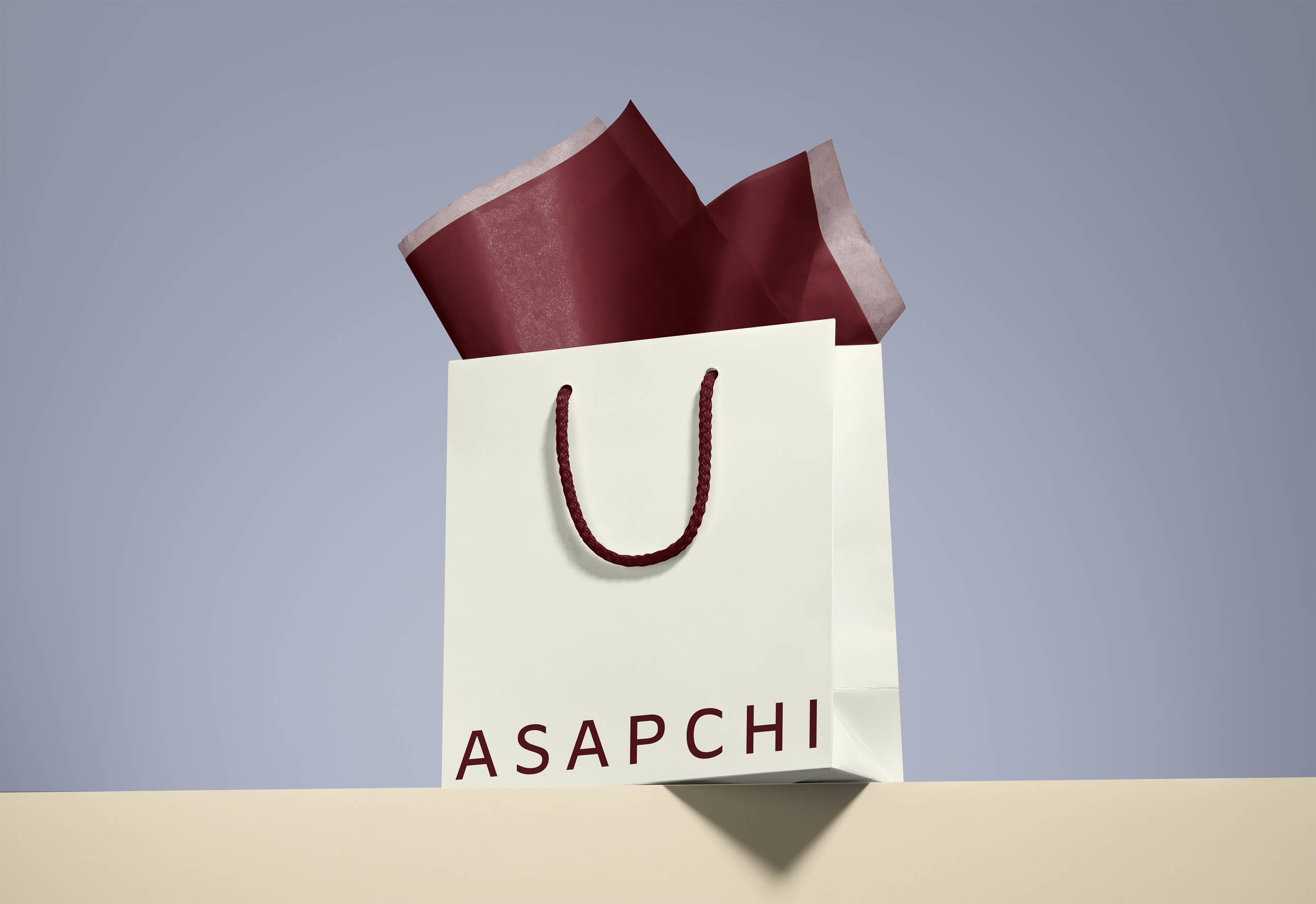 bolsa con papel.png