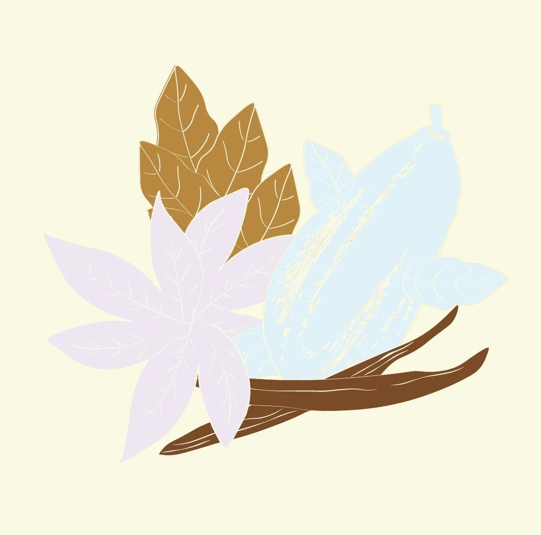 cacao-03.jpg