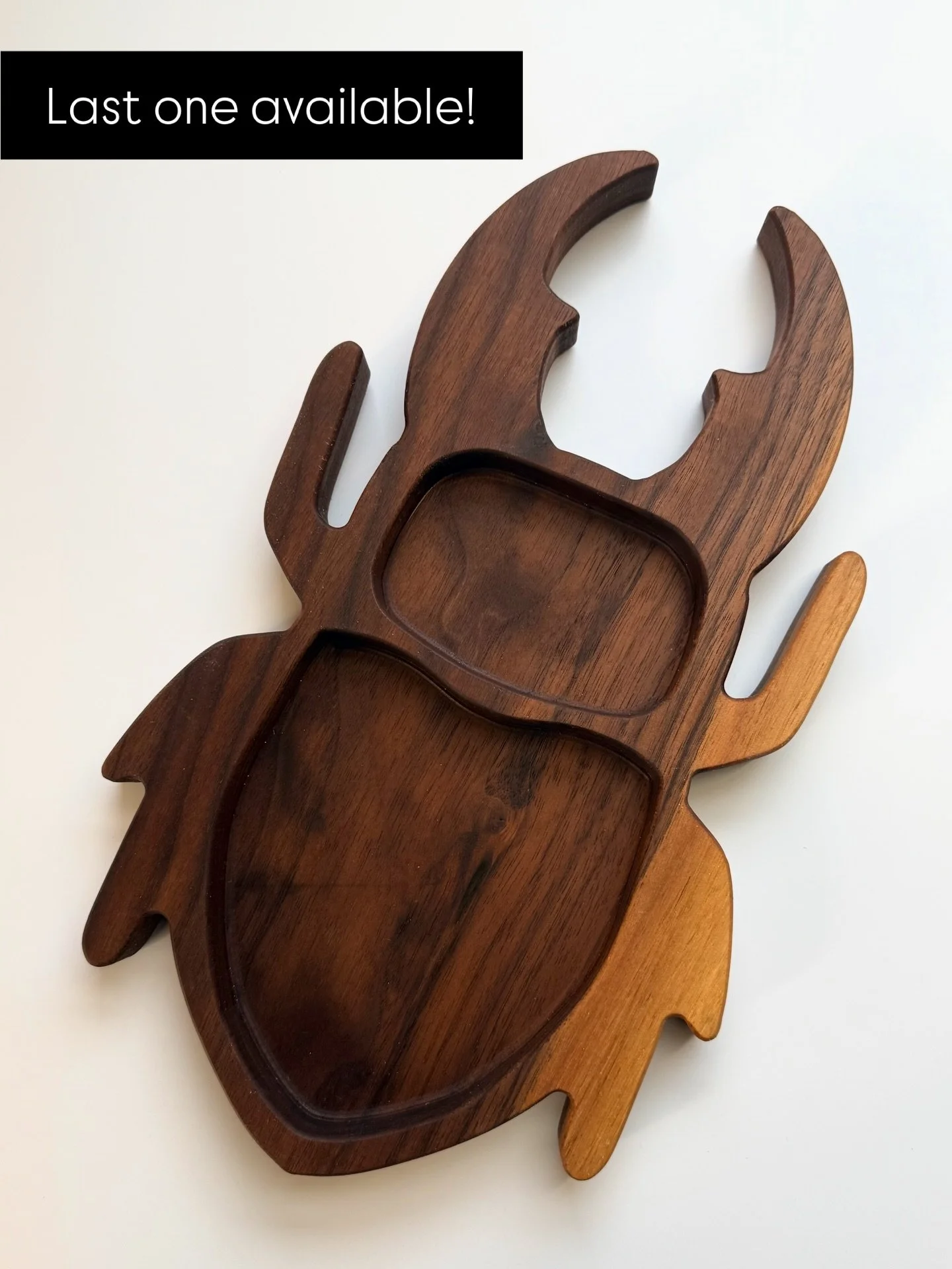 Last of its kind- and the colors on this one is stunning. 

This beetle tray is the final one from this batch. Once it&rsquo;s gone, it&rsquo;s gone. 

🪲 Claim it before it disappears. 🔗 in bio.

#darkaesthetic
#cottagedecor 
#bugart
#gothdecor
#od