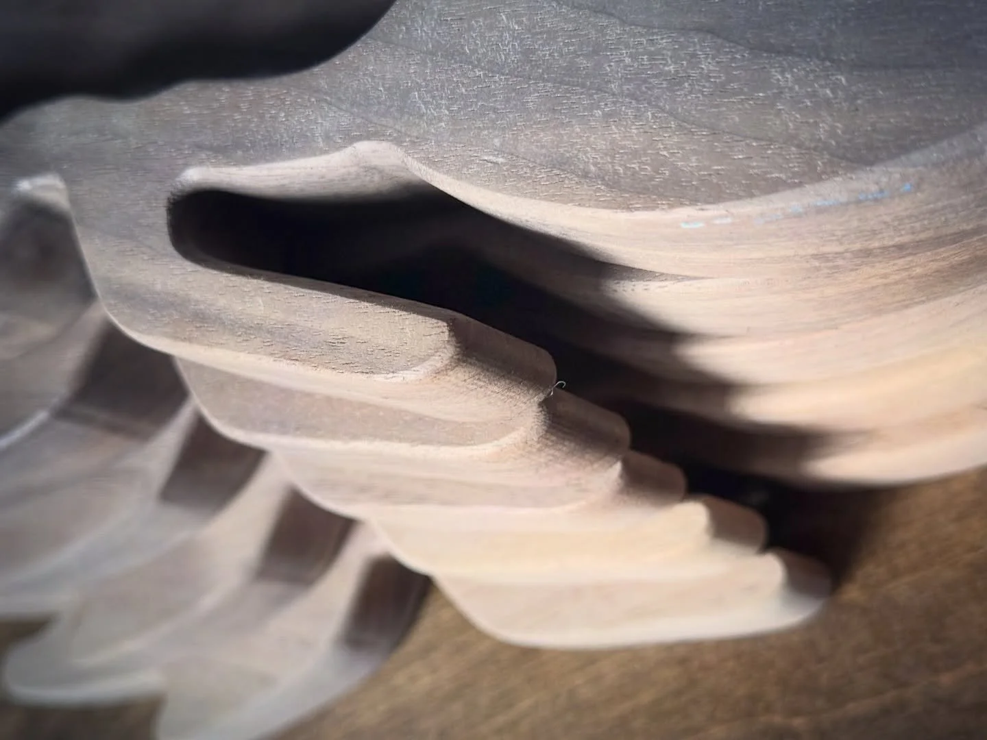 I'm obsessed with this batch of bug trays! The gradient is giving me life. Designed with a bowl in the middle, making it ridiculously easy to scoop out whatever's in there. And can we use it as a snack bowl, please?

✨Coming Soon✨

#pnwsmallbusiness 