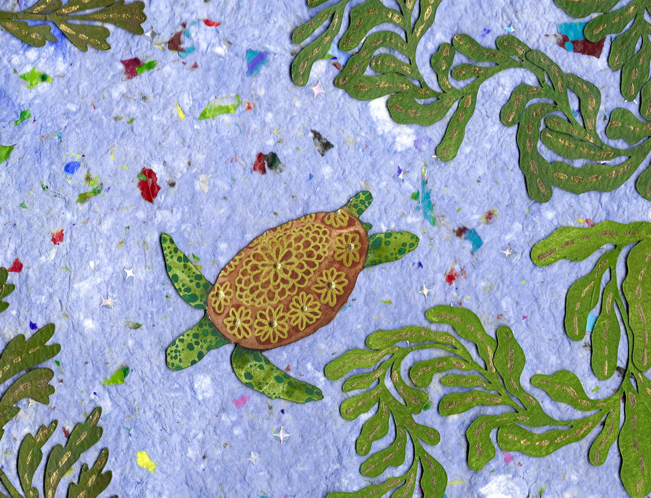 Tortuga imagen.jpg