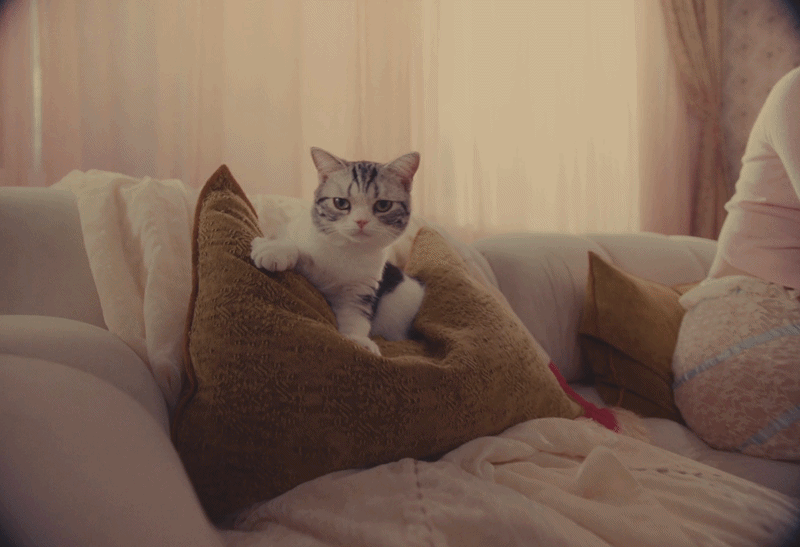 MAYBELLINE3-ezgif.com-video-to-gif-converter.gif