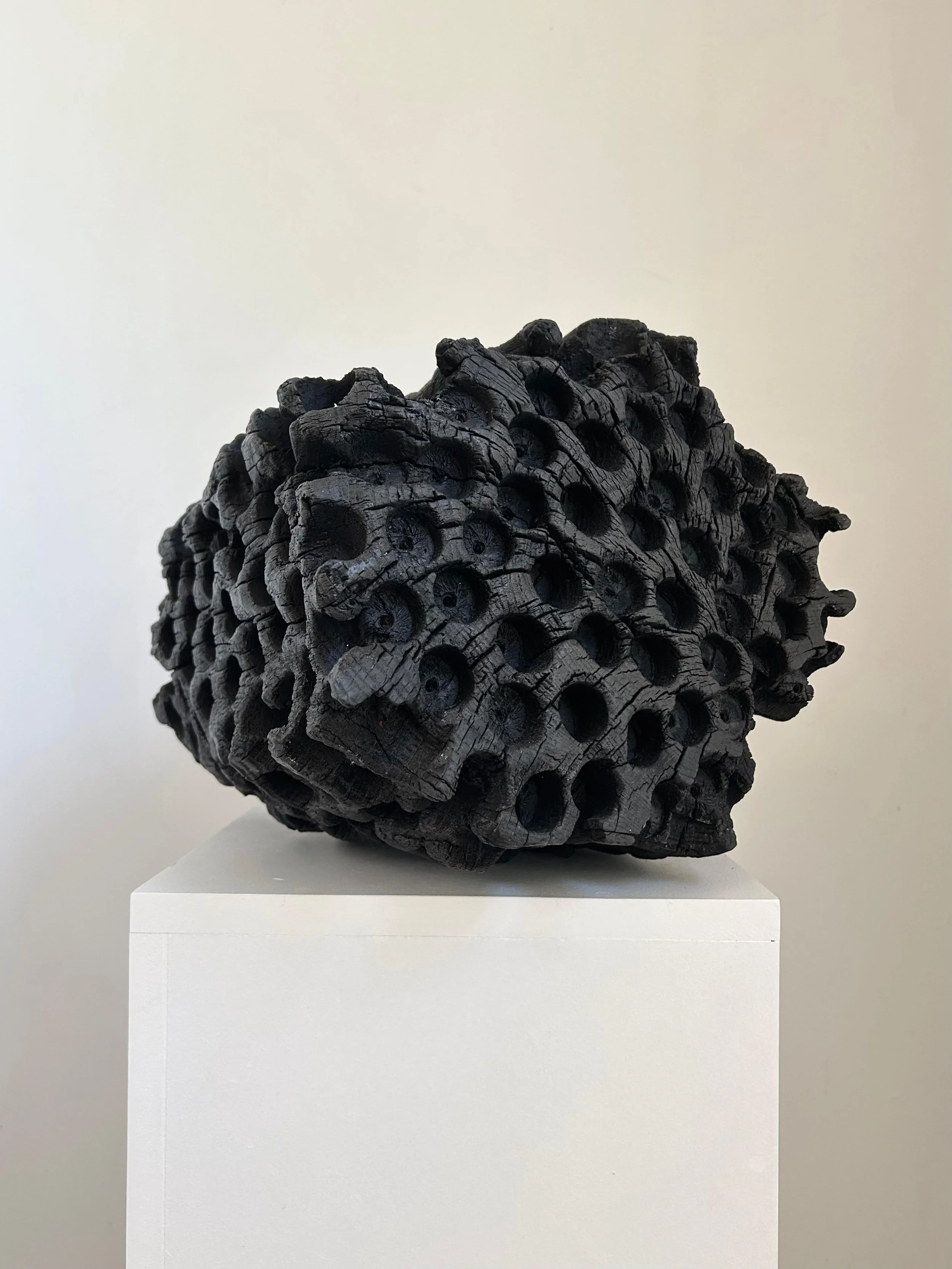 Untitled, 2025. Charred English oak.