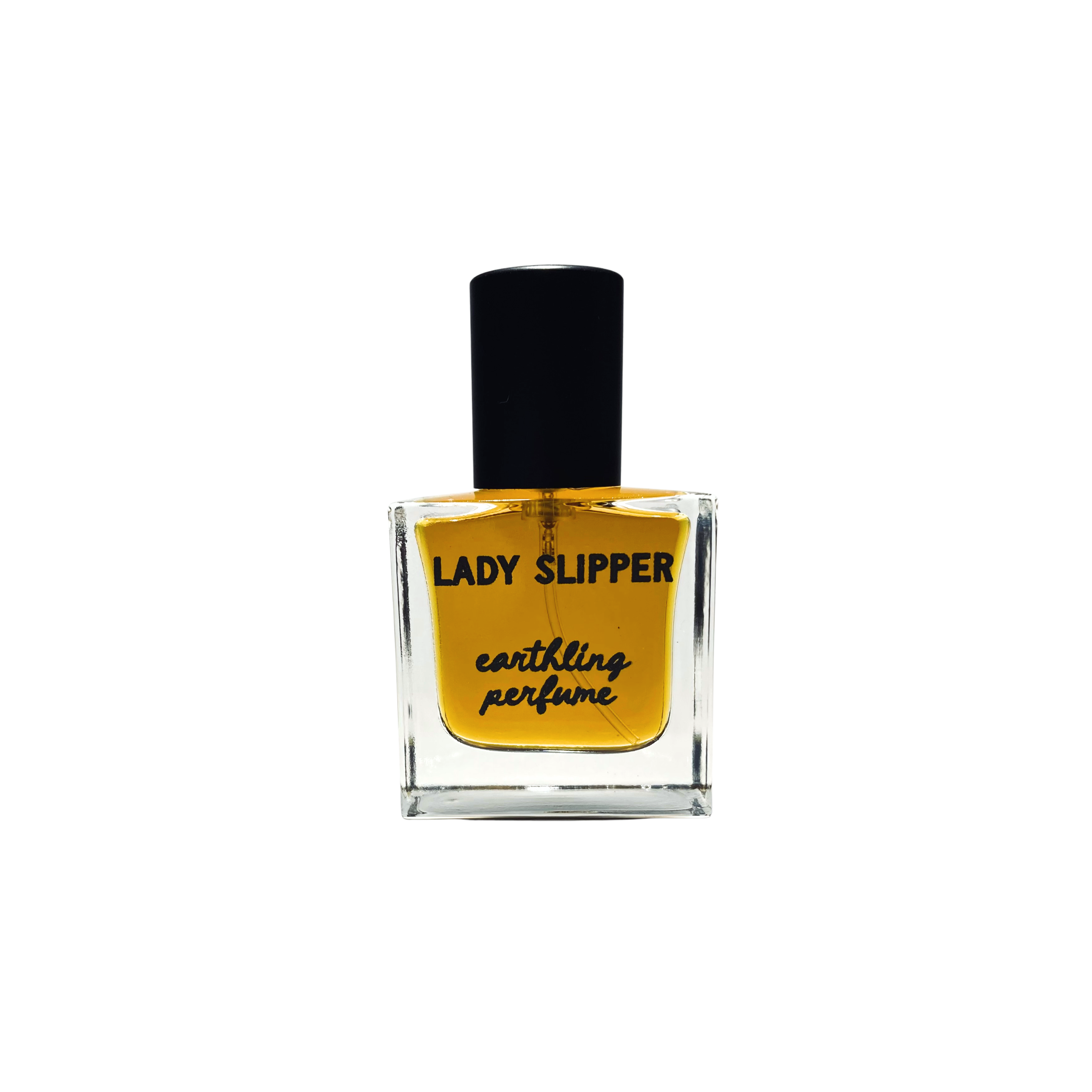 Lady Slipper