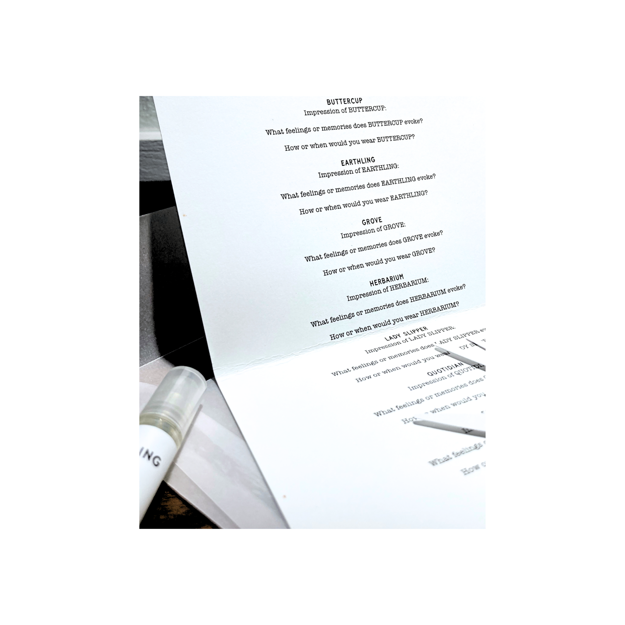 Untitled design (77).png
