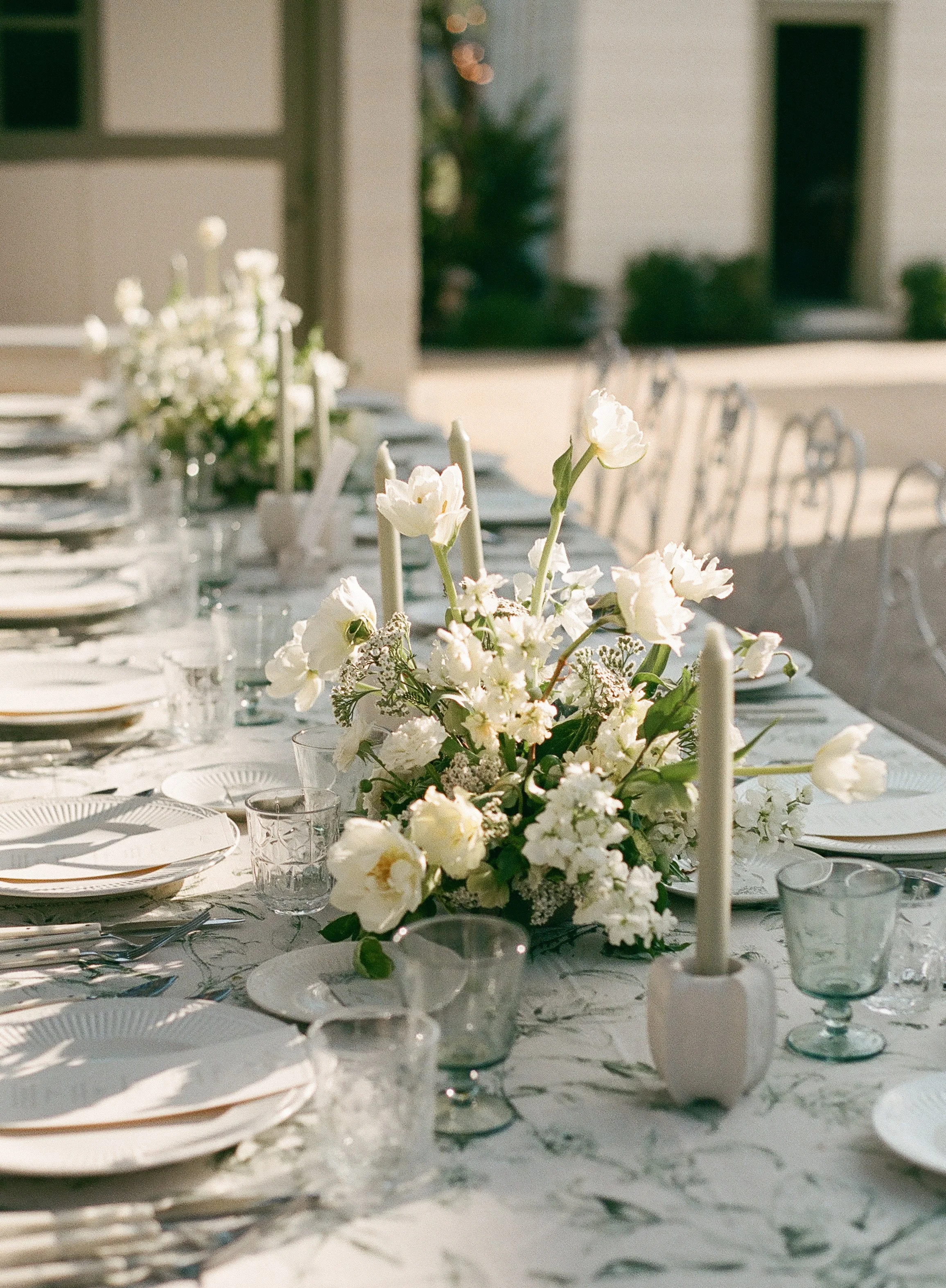 addietaylorphoto_emiliaandshark-45.JPG