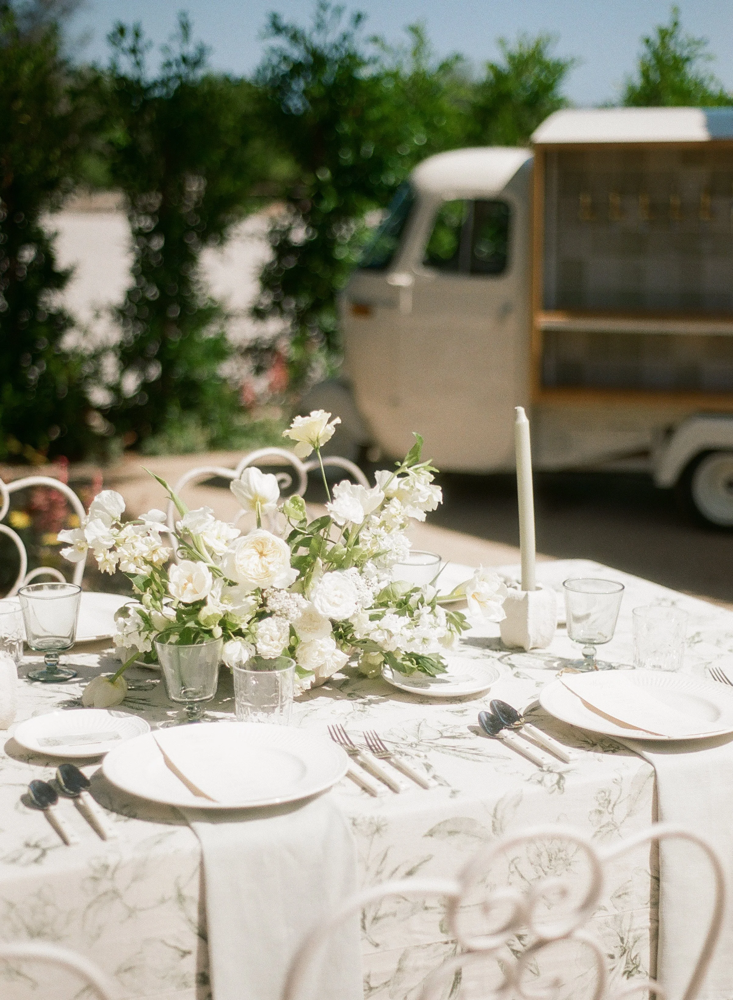 addietaylorphoto_emiliaandshark-34.JPG