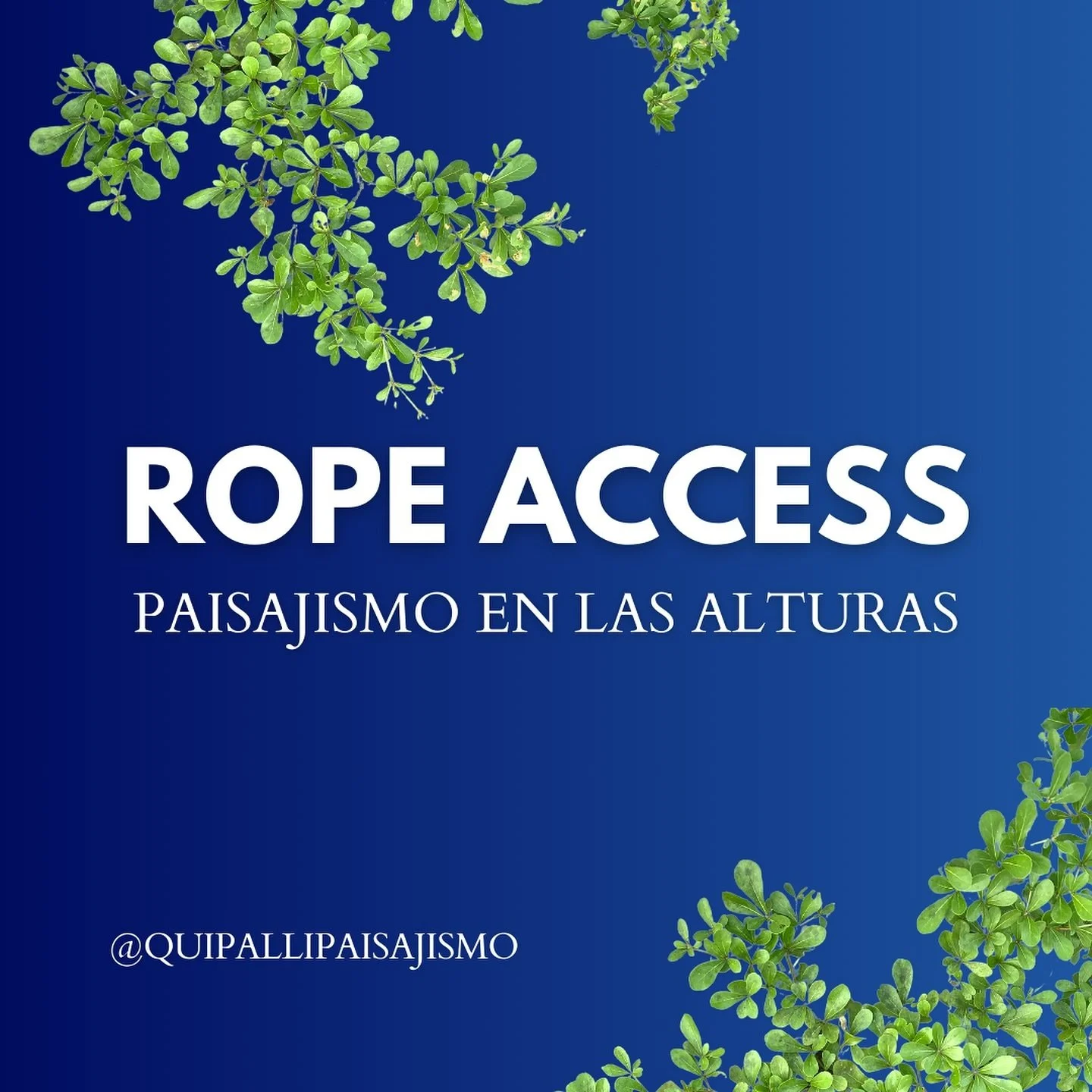 🌿 Descubre un mundo de belleza desde las alturas con nuestro nuevo servicio de rope access Paisajismo. 

Conecta con la naturaleza como nunca antes. 🌳💫 

#paisajismoenlasalturas #ropeaccess #con&eacute;ctateconlanaturaleza #fypシ