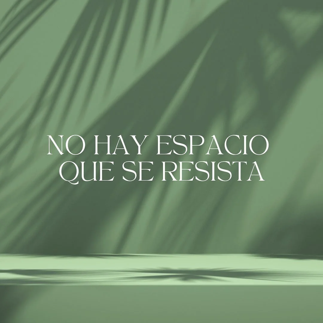 🍃Cubre tus espacios de armon&iacute;a y belleza incomparable. 

🌵Remodelaci&oacute;n roof, m&aacute;s de 100 plantas nuevas, de mantenimiento de 40 ejemplares agregados.

#espaciosverdes #espacios #belleza #paisajismo #proyectos #sostenibilidad #ec