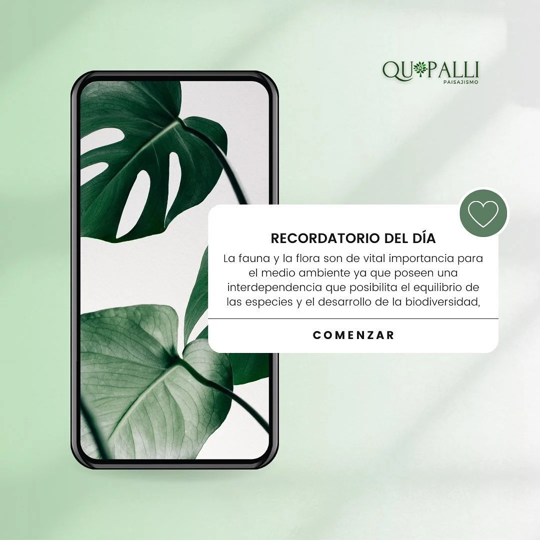 🌿 Protege nuestro hogar, cuida la biodiversidad 🌎

Hoy queremos recordarles la importancia vital de cuidar y preservar nuestra biodiversidad, el tesoro m&aacute;s preciado de nuestro planeta. Como profesionales de la naturaleza, debemos tomar conci