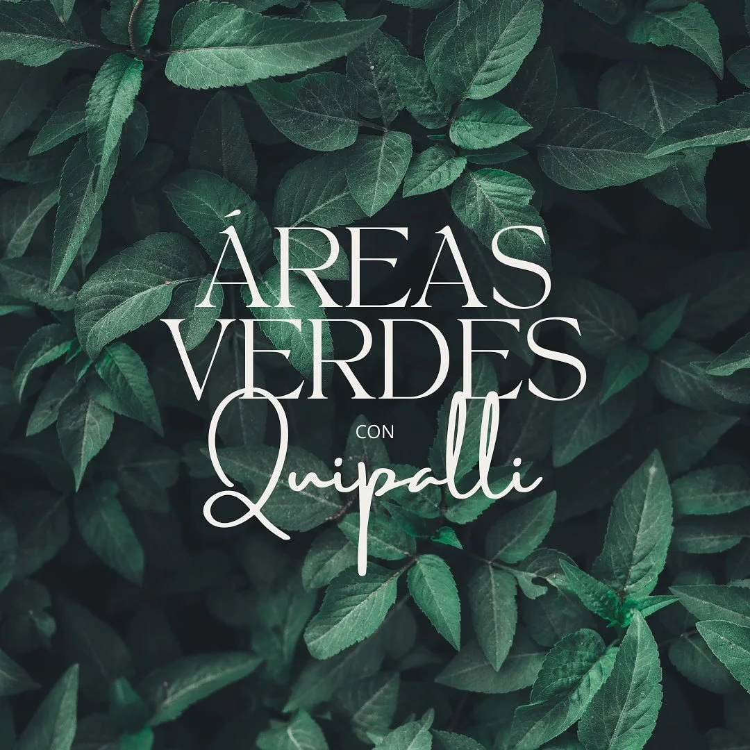🏨H I L T O N 

☀️120 m2 de experiencias: &aacute;rea verde, descanso y recreaci&oacute;n.
🍃M&aacute;s de 800 ejemplares de plantas de bajo mantenimiento.
♻️720 kg de pl&aacute;stico reciclado. 

&ldquo;QUIPALLLI, verde que da vida&rdquo; 🍃🫶🏻

#e