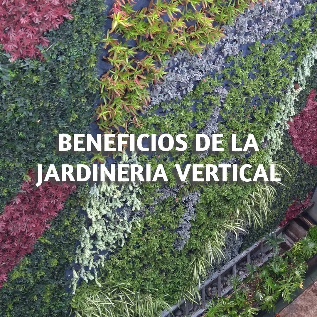 &iexcl;Descubre c&oacute;mo el paisajismo puede transformar tu vida! 🌳💚
 #beneficiosdelpaisajismo #mejoratuvida #paisajismo #paisajismosustentable #paisajes #paisajenatural #jardineriaypaisajismo #jardineriavertical