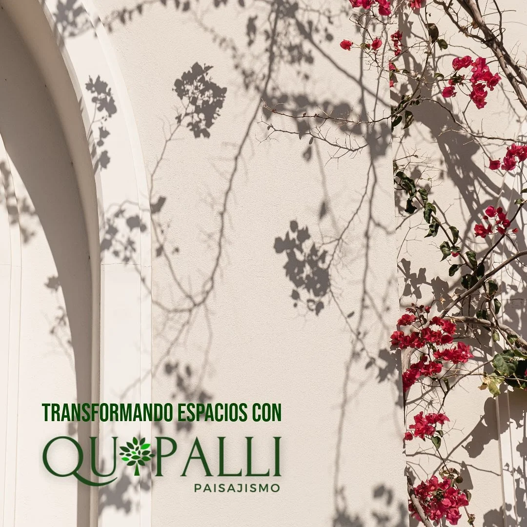 &iexcl;Despierta tu hogar, transforma tus sue&ntilde;os! Con Quipalli, haz de tus espacios verdes un para&iacute;so inspirador. 🌿✨

#TransformandoEspaciosConQuipalli #inspiratuvida #paisajismo #jardineria #fypシ