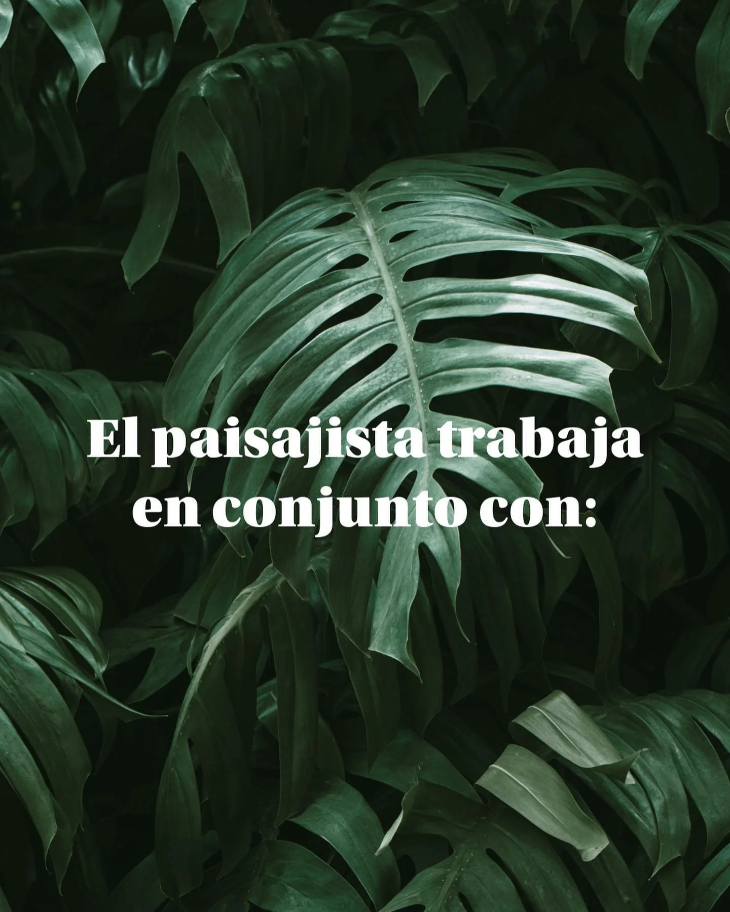 &iexcl;Emb&aacute;rcate en un viaje de transformaci&oacute;n con nosotros, donde la naturaleza cobra vida en cada rinc&oacute;n! Como paisajistas, trabajamos con una amplia gama de elementos para crear paisajes m&aacute;gicos y cautivadores. 

🌿 Las