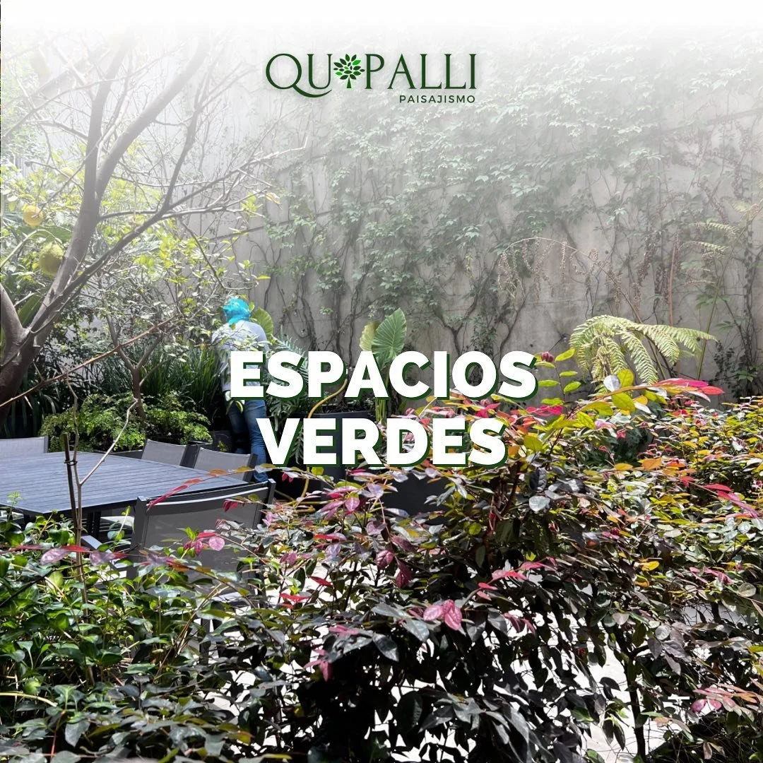🌳Nuestros expertos en paisajismo entienden que cada espacio tiene su propia personalidad y por eso trabajamos para crear dise&ntilde;os exclusivos y a medida para cada proyecto. Desde un peque&ntilde;o jard&iacute;n en una terraza hasta grandes &aac