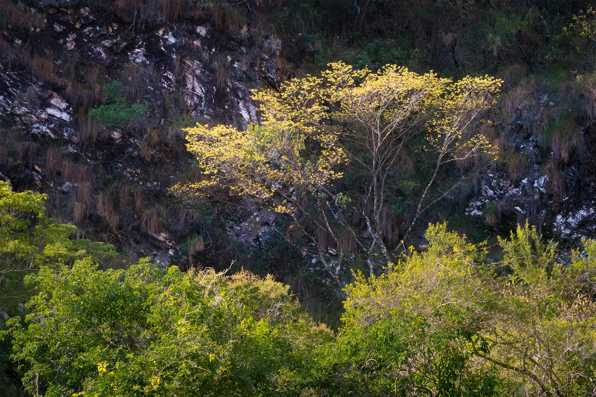 _DSC8462 final site.jpg