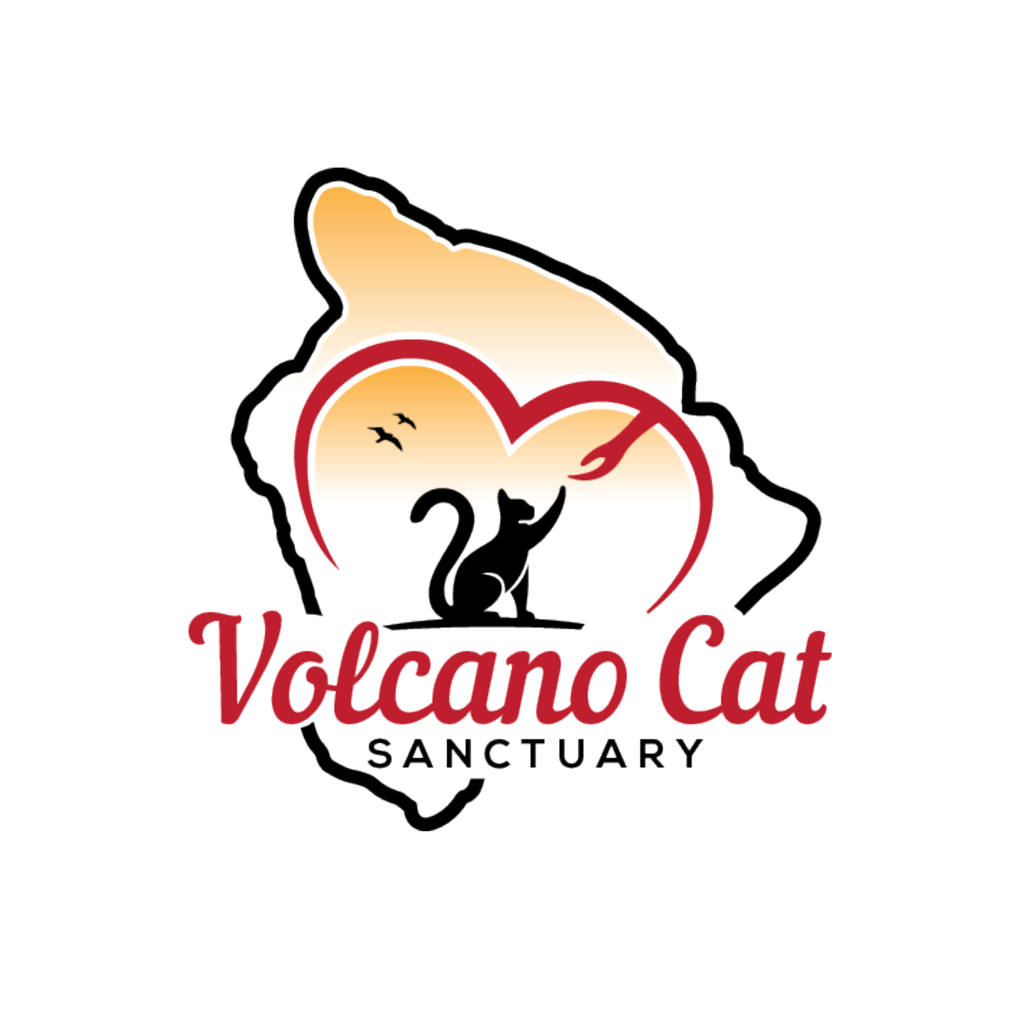 VCS Logo.png