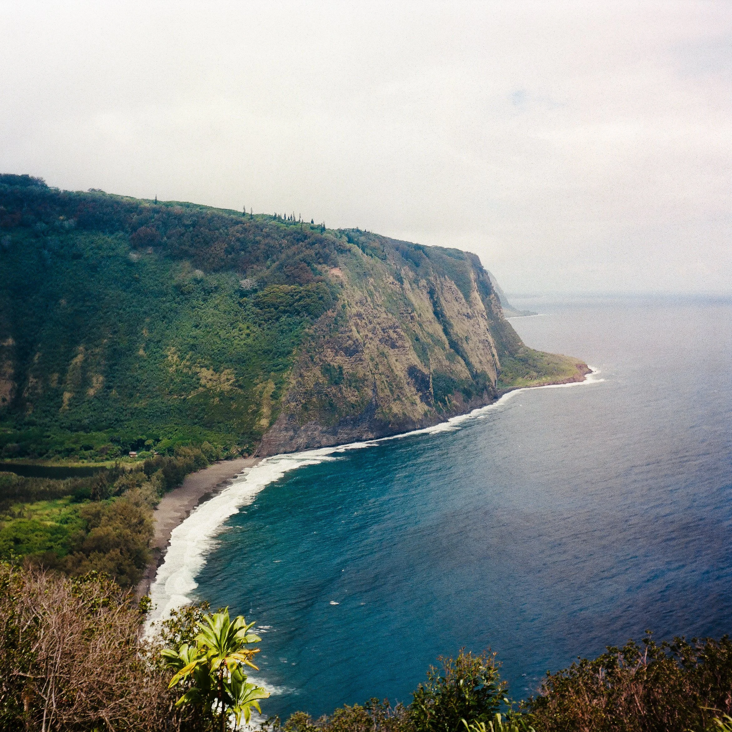 HAWAII-2024.06-PORTRA400-10.jpg