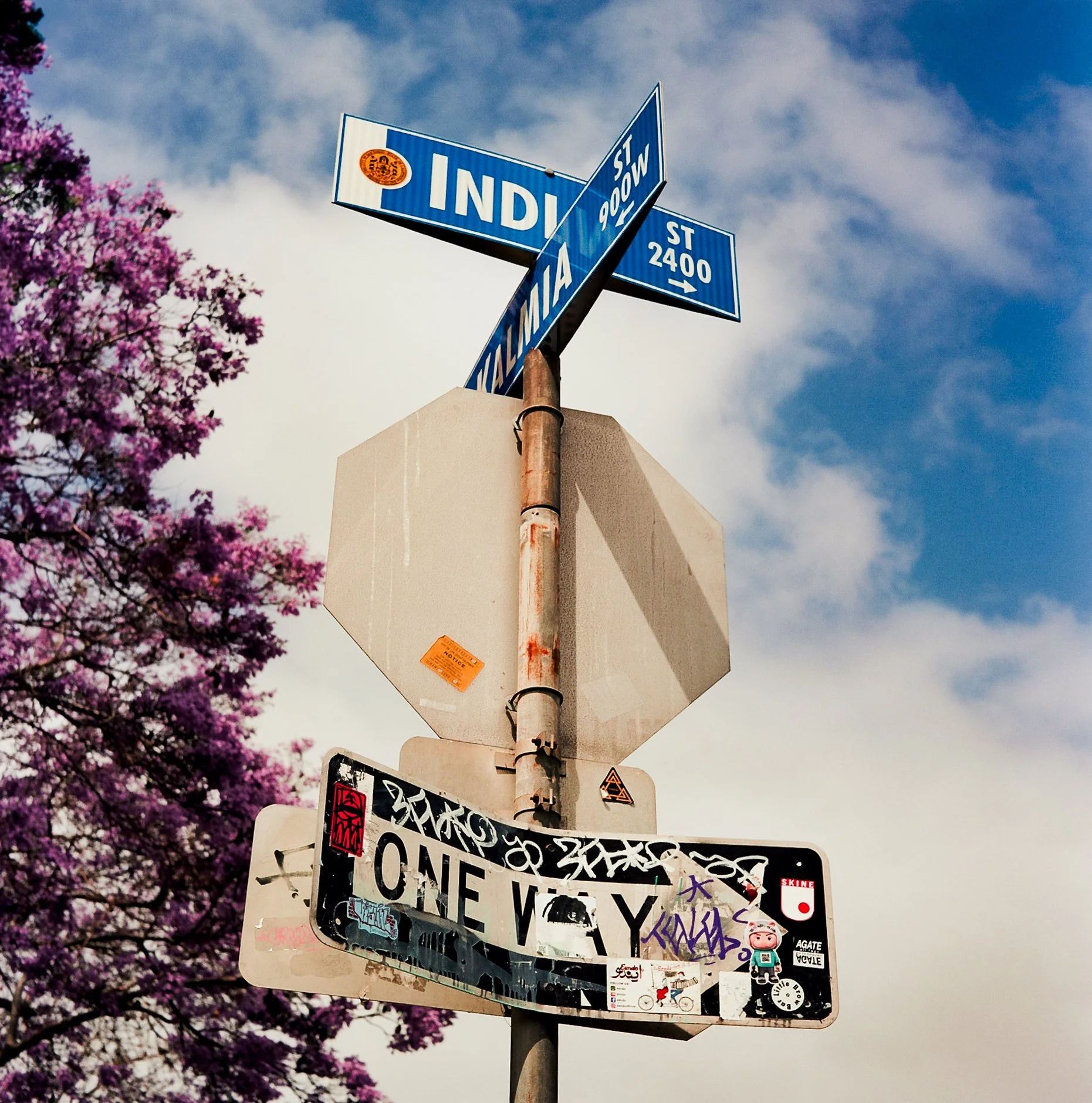 SAN DIEGO-2022.05.08-EKTAR 100-13.jpg