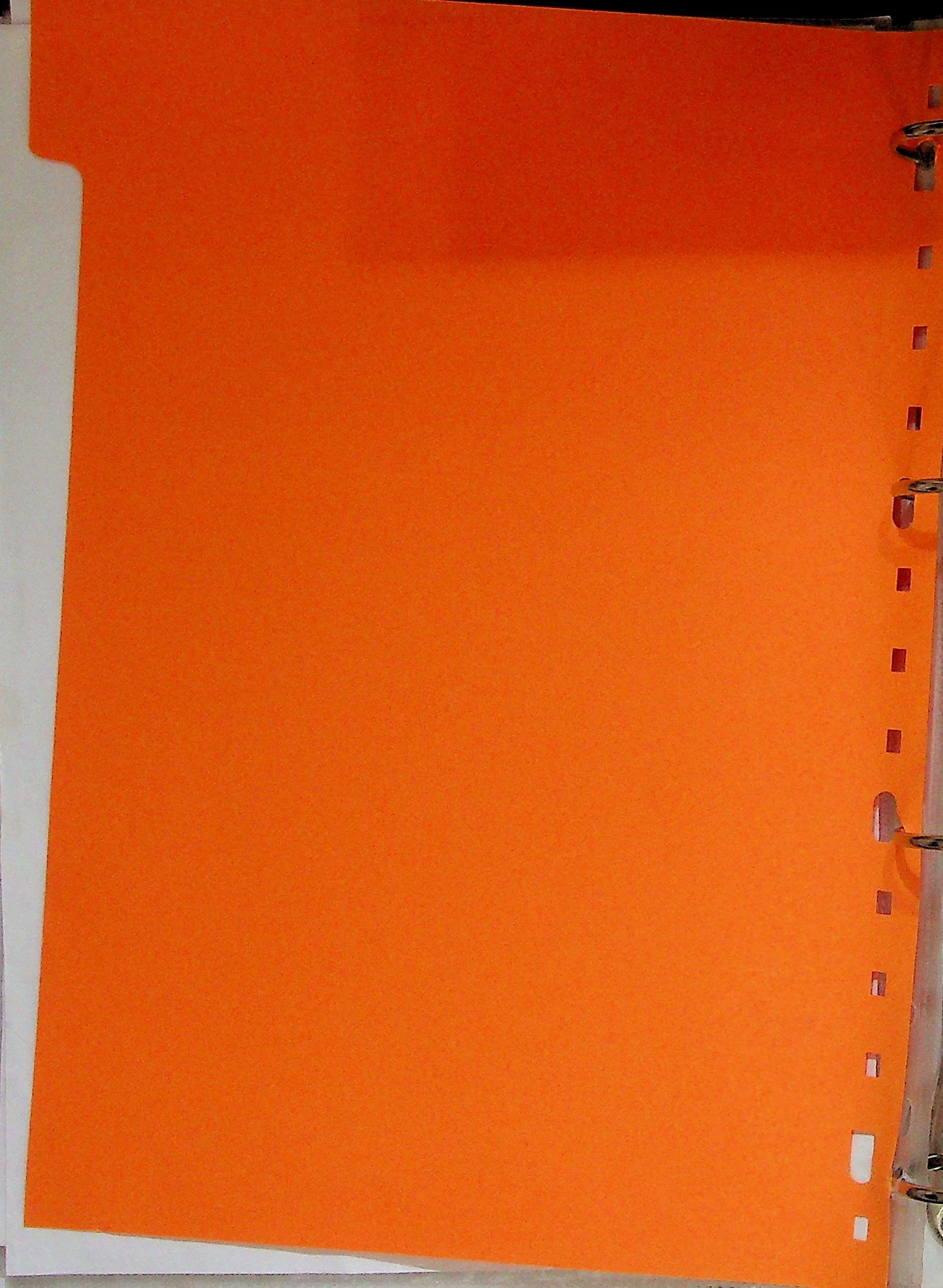 image00009.jpg