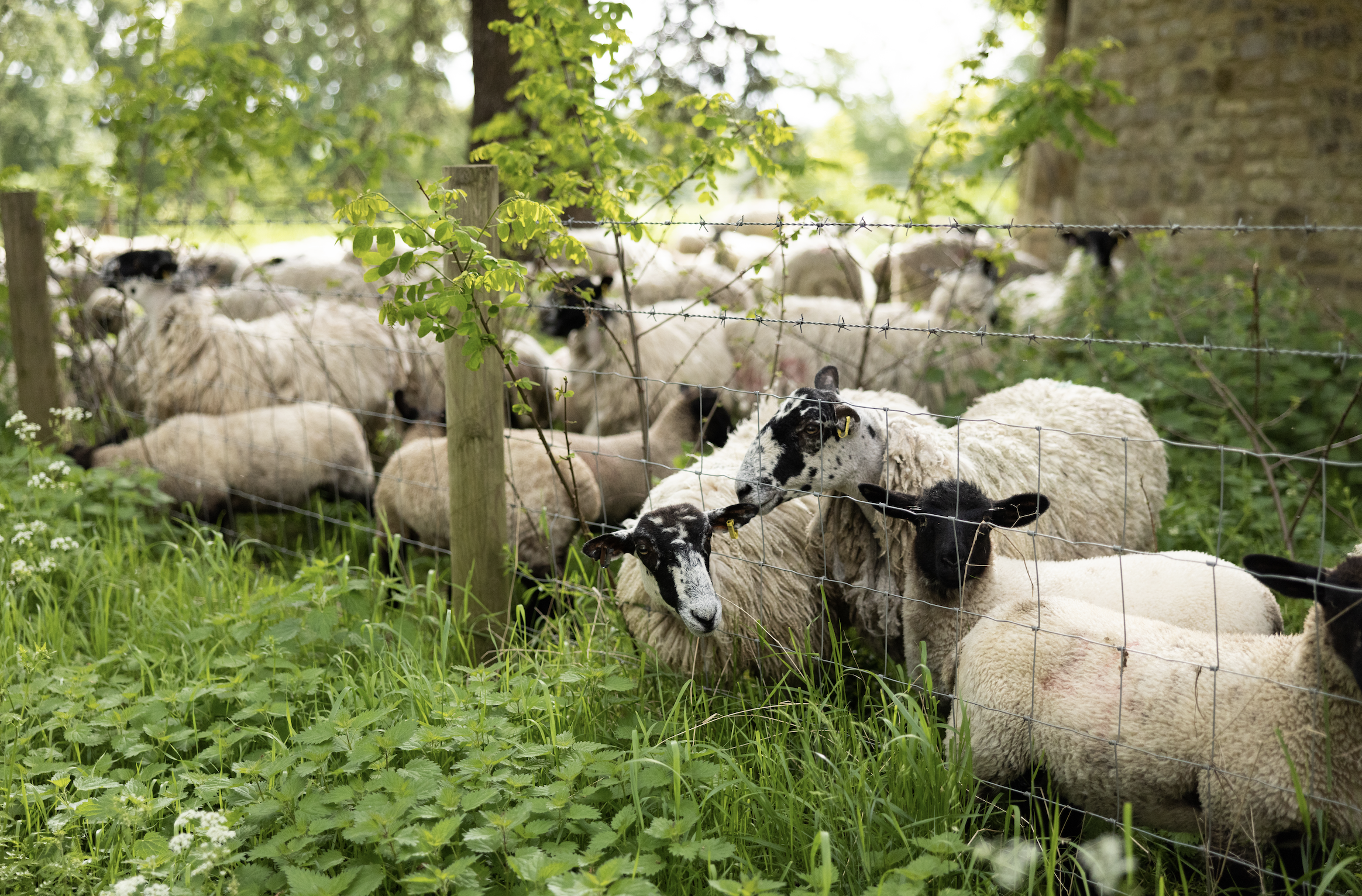 Screenshot 2024-09-02 at 22.33.47.png