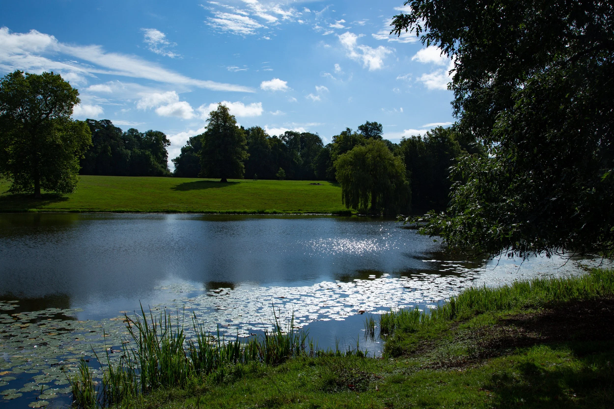 Wellbeing banner.jpg