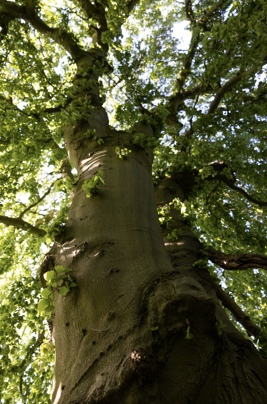 Screenshot 2024-09-02 at 22.36.13.png