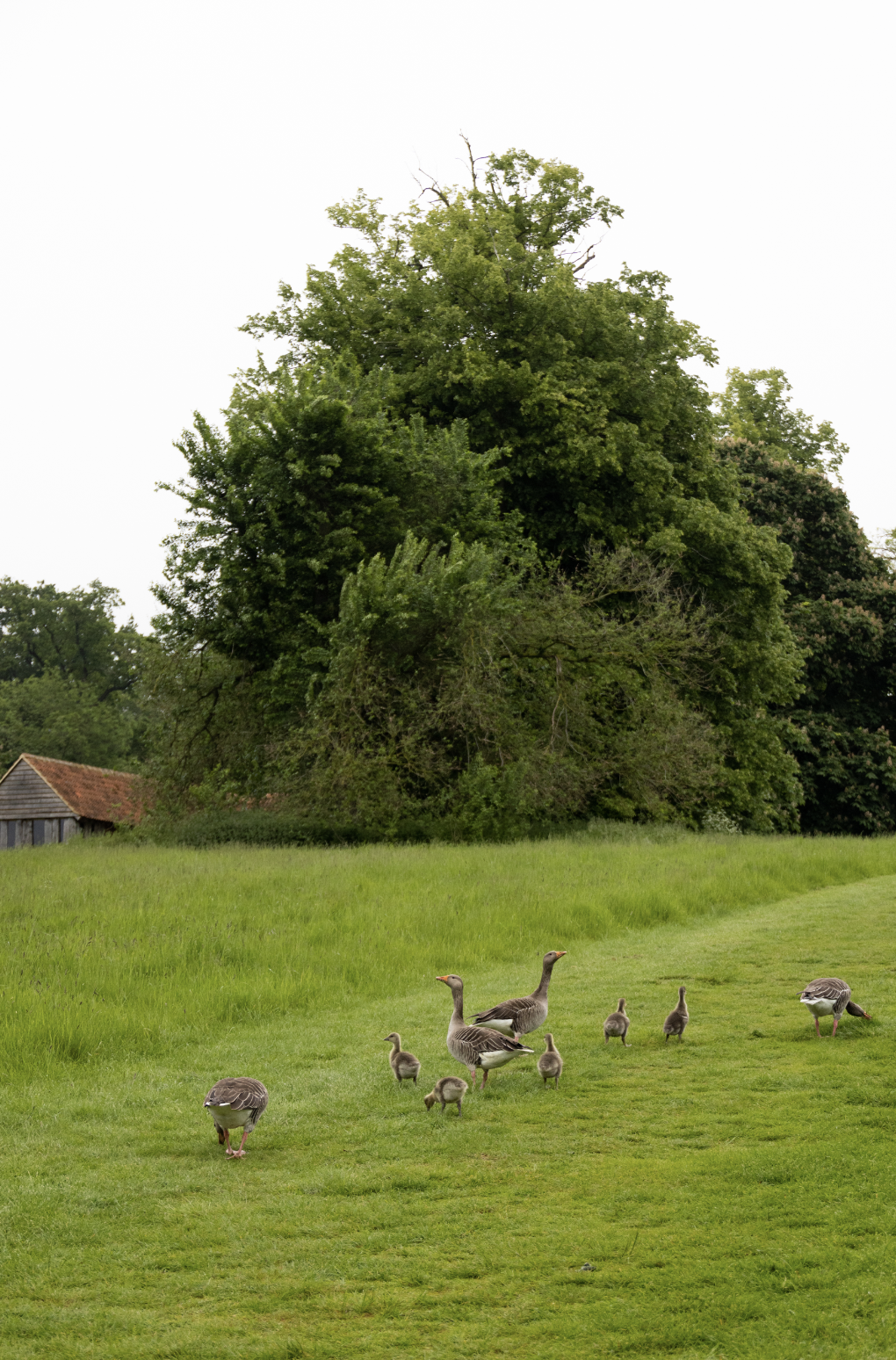 Screenshot 2024-09-03 at 16.56.09.png