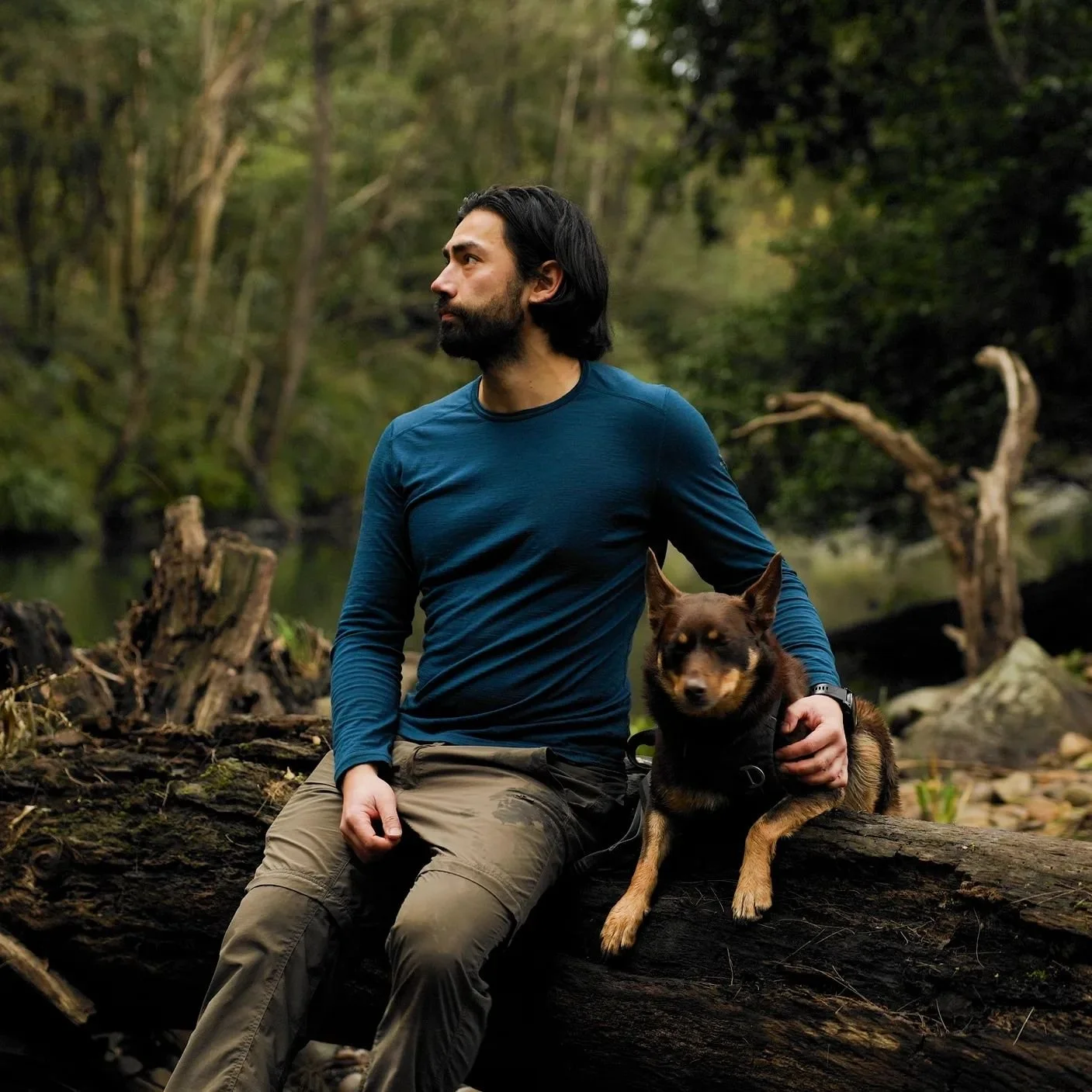 Our latest camping episode is up on youtube (link in bio) if you haven't yet seen it 😀. Bunji and I enjoy a solo escape to one of our favourite areas (Barrington).

#campingwithdogs #kelpiesofinstagram #kelpie #kelpiesofaustralia #campingintherain #