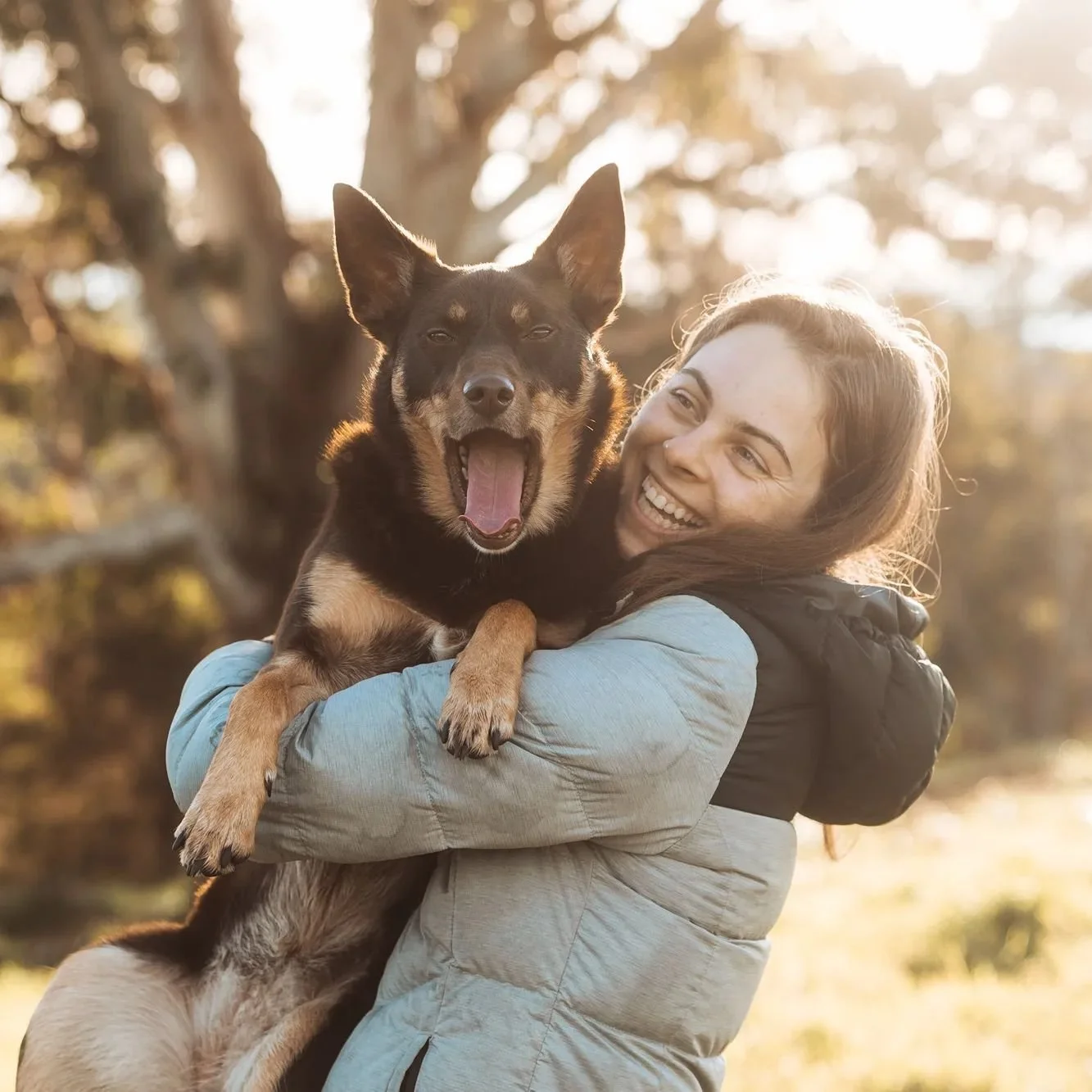 Always fun times trying to get a good shot with Bunji.

#kelpiesofinstagram #kelpie #bunji #kelpies #kelpiesofaustralia #campingwithdogs #dog #doglover #dogsofinstagram #sunsetvibes #enjoyingtheview #exploring #adventuremore #doggo #doglife #dogstagr
