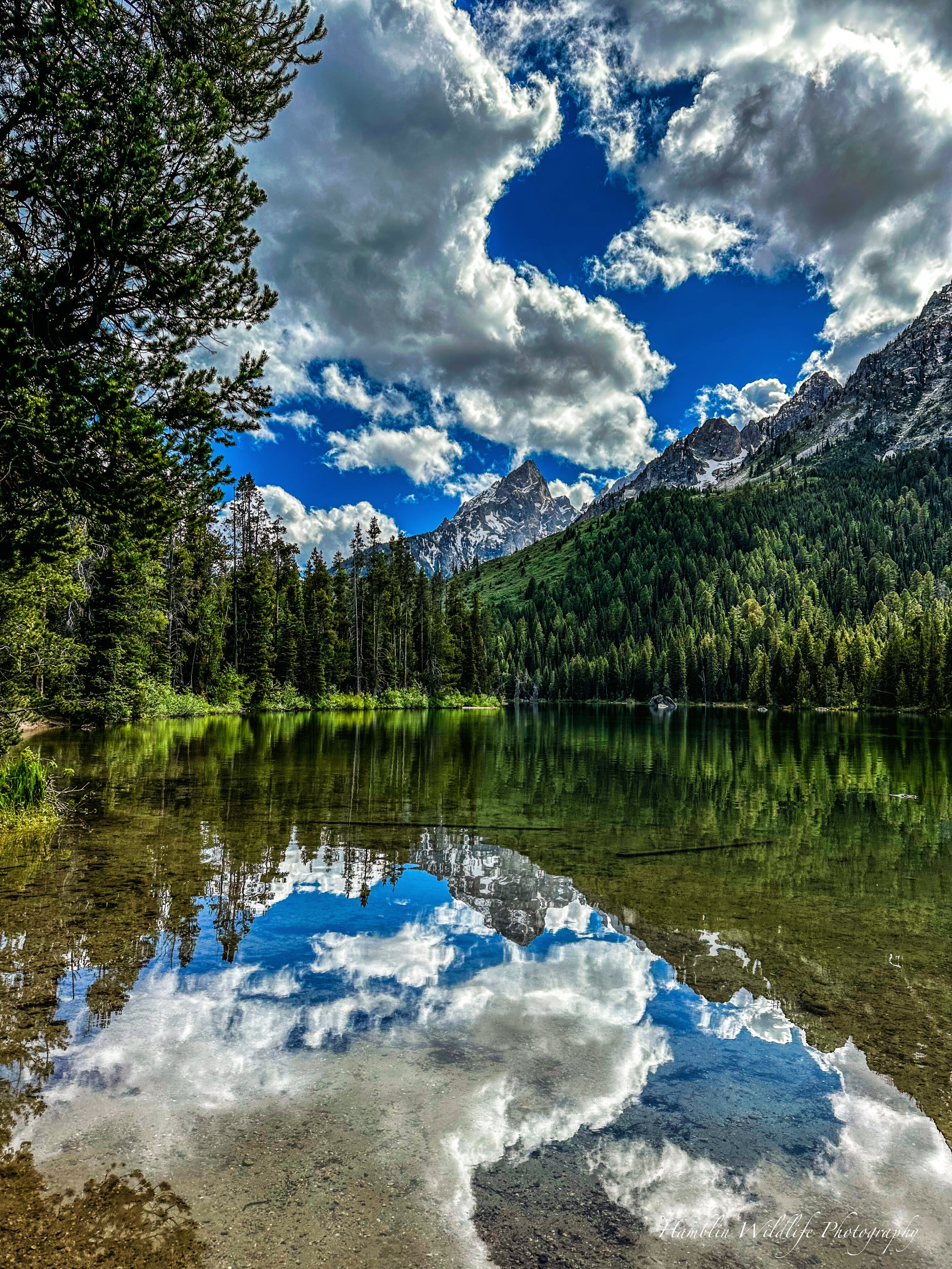 Grand Teton Standard Print