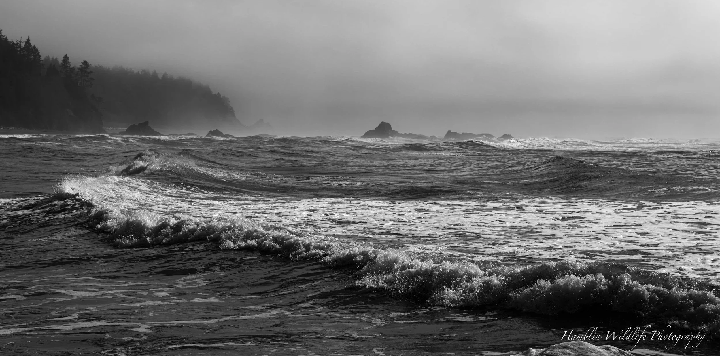 Moody Pacific Coast