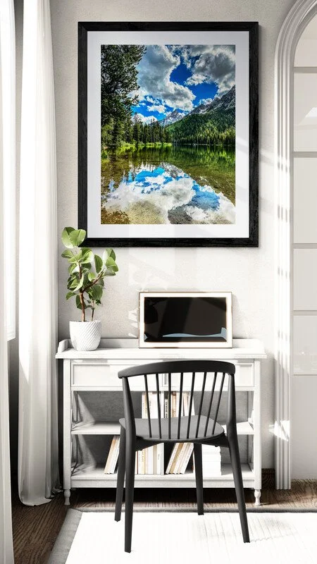 home-study-illuminated-in-natural-light (1).jpg