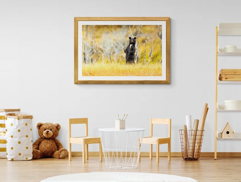childs-room-with-furniture-and-large-teddy-bear.jpg