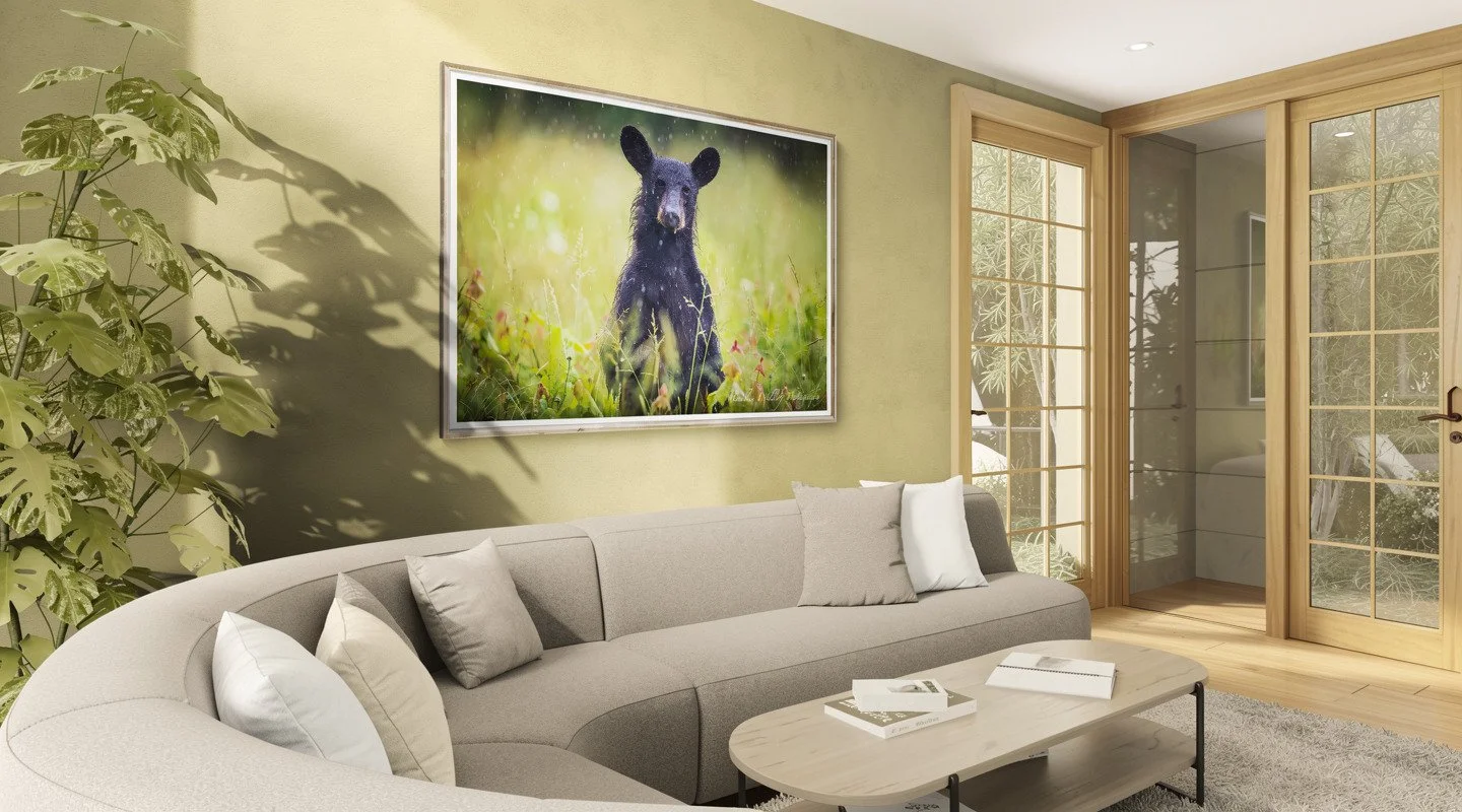 Living room with a curved sofa and shrub-Angled.jpg