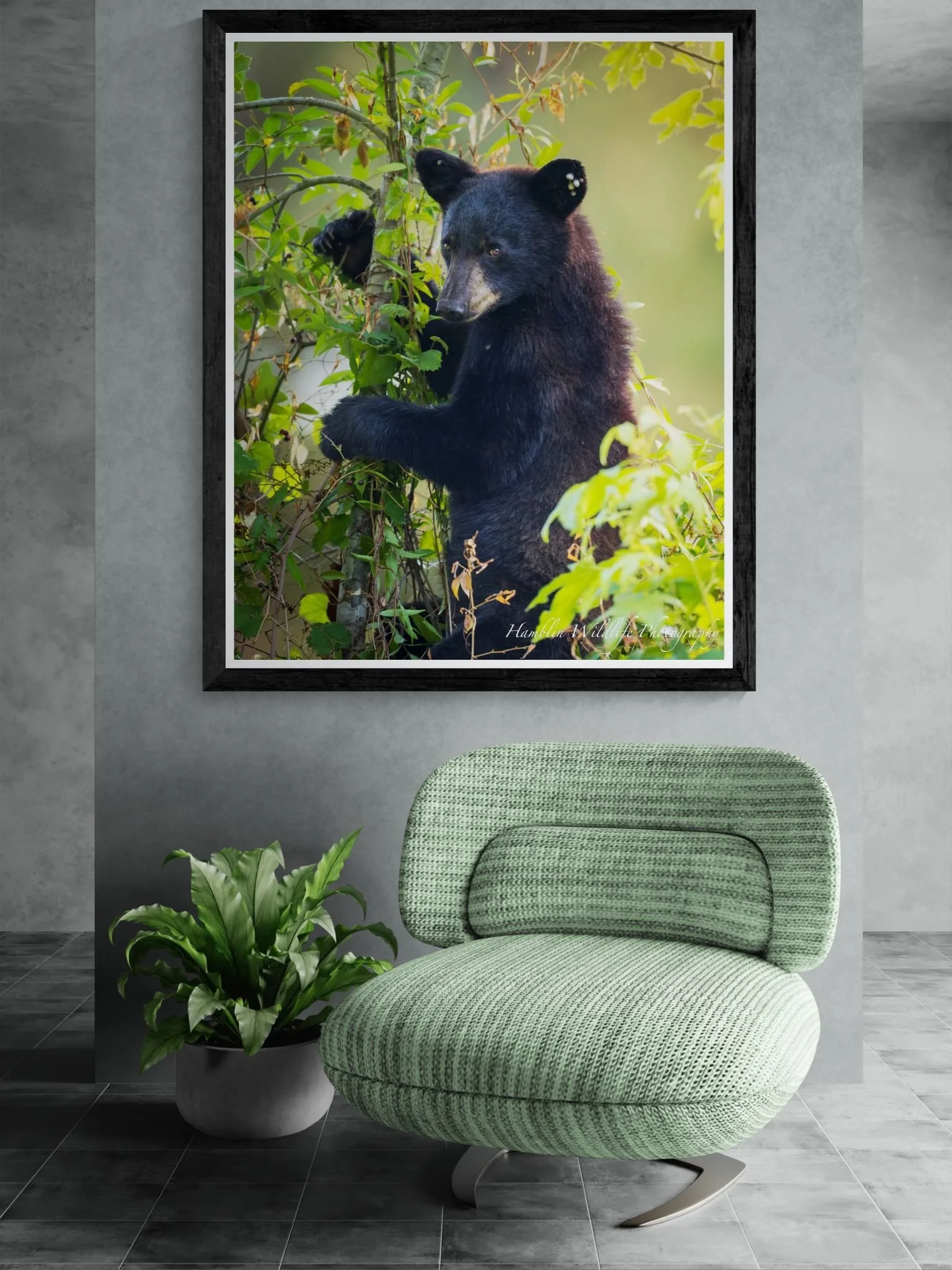 Modern chair in front of a feature wall.jpeg