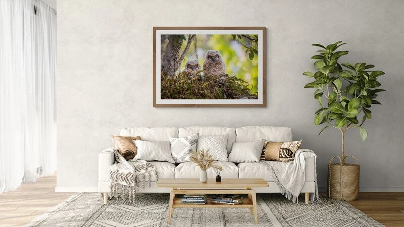 comfy-boho-living-room-with-a-shrub.jpg