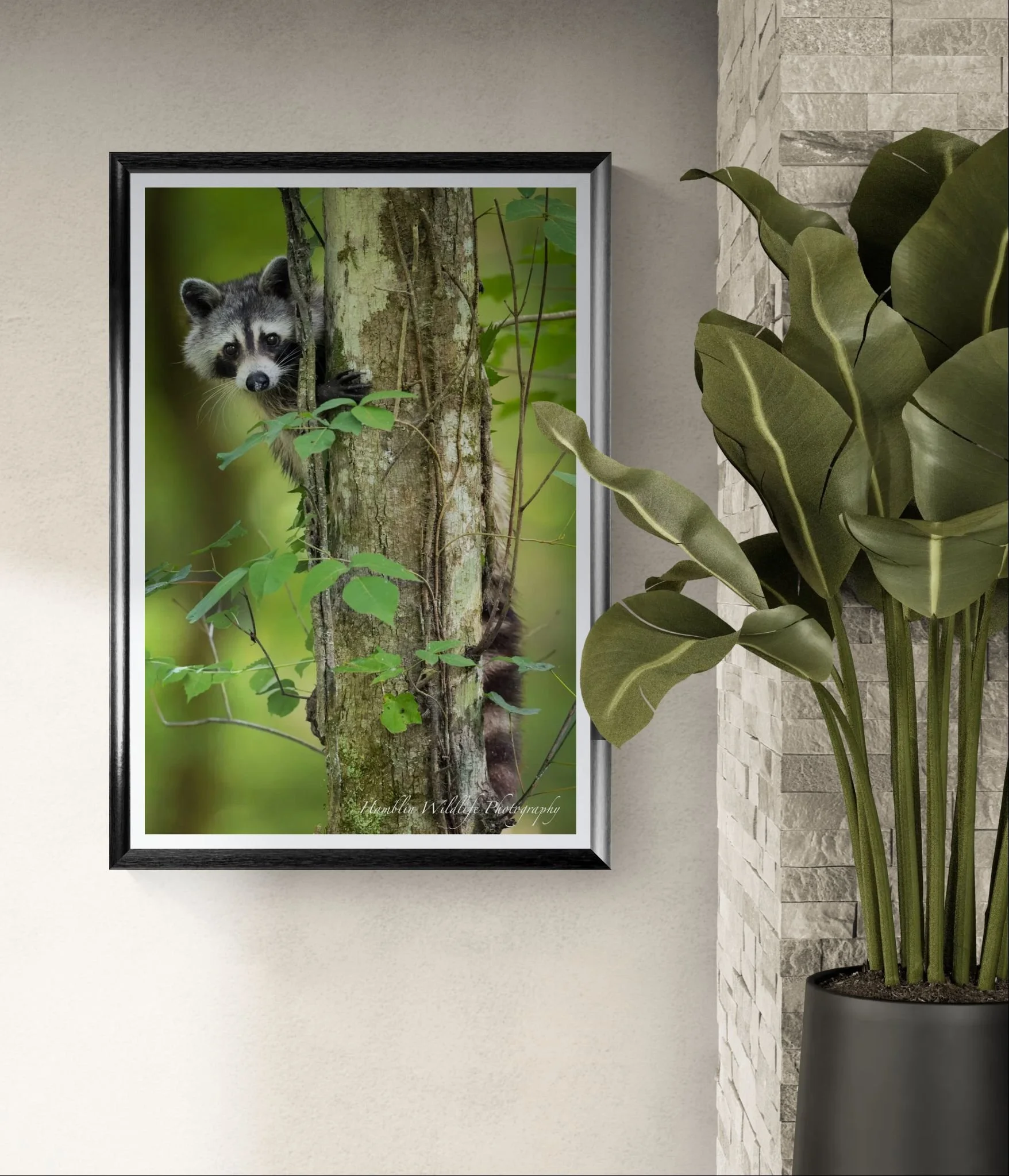 Close-up view of a plant next to a wall.jpeg