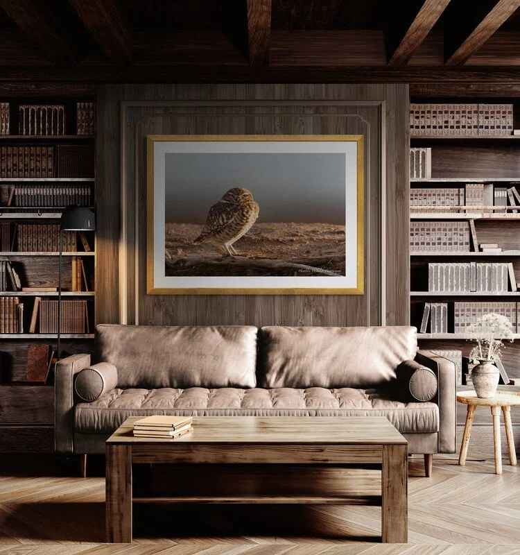 cozy-living-room-with-a-wall-mounted-bookshelf.jpg