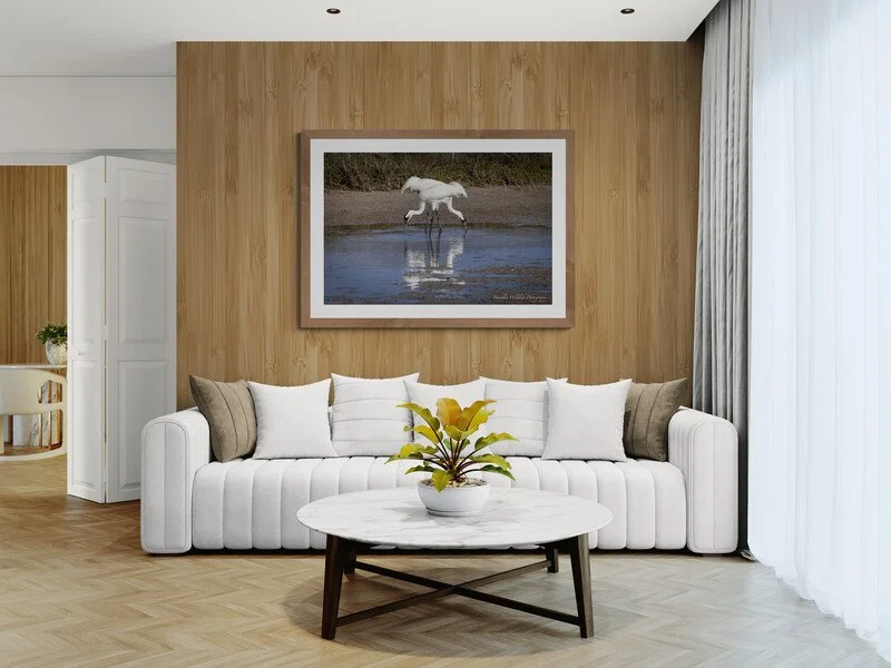 modern-living-room-with-concertina-doors.jpg