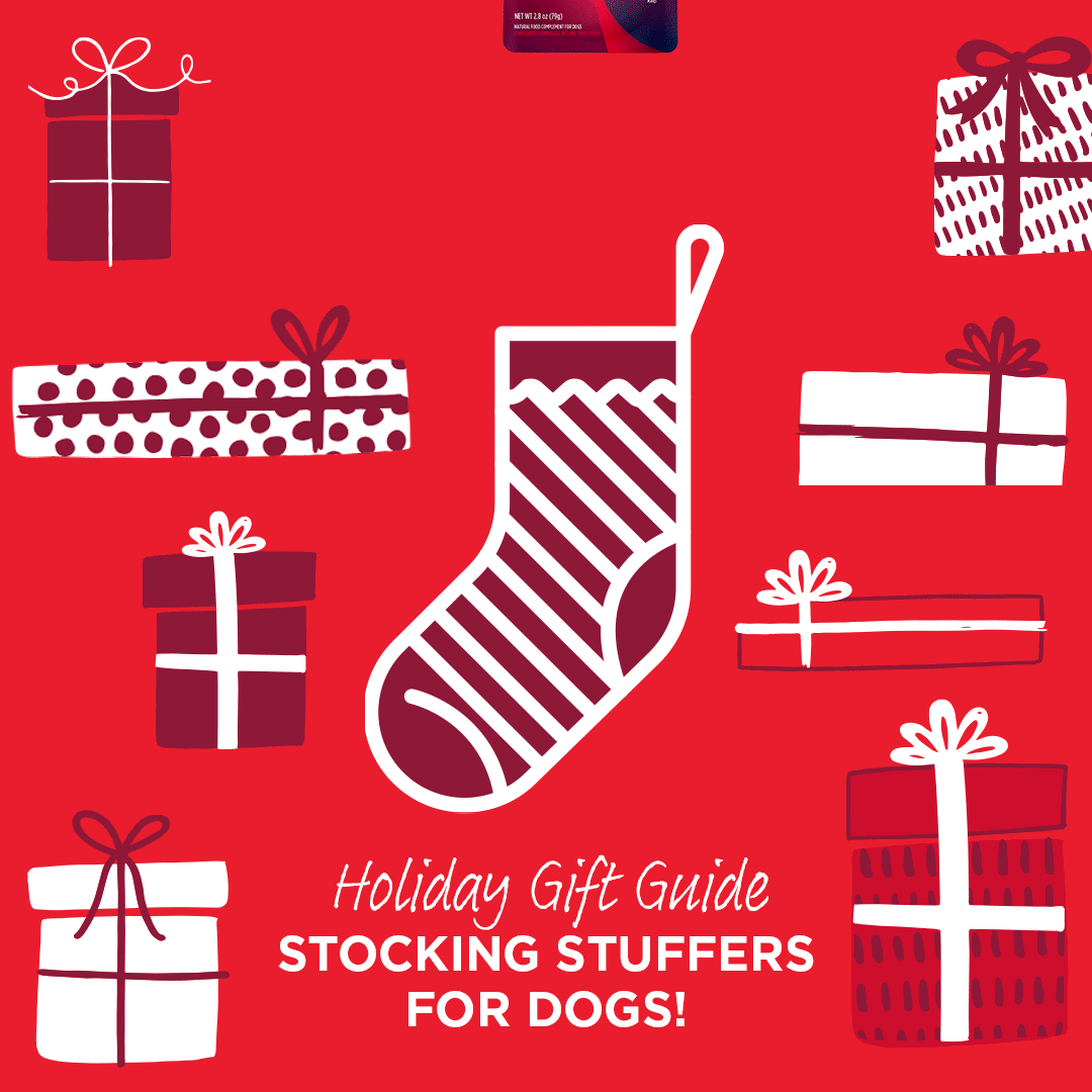 Social-Graphic-Dog-StockingStuffers-12.23-001.gif