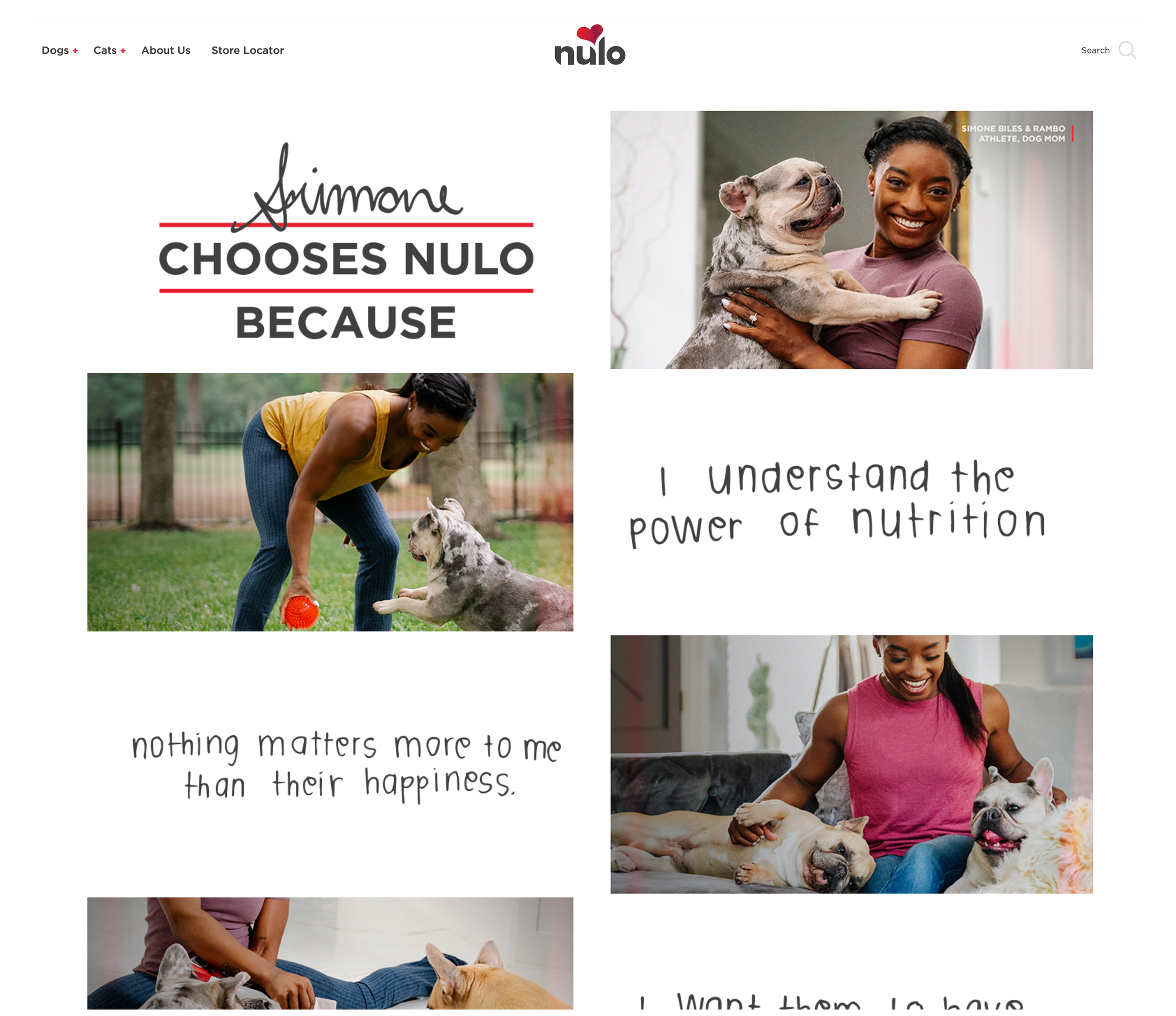 Nulo Landing Page.png
