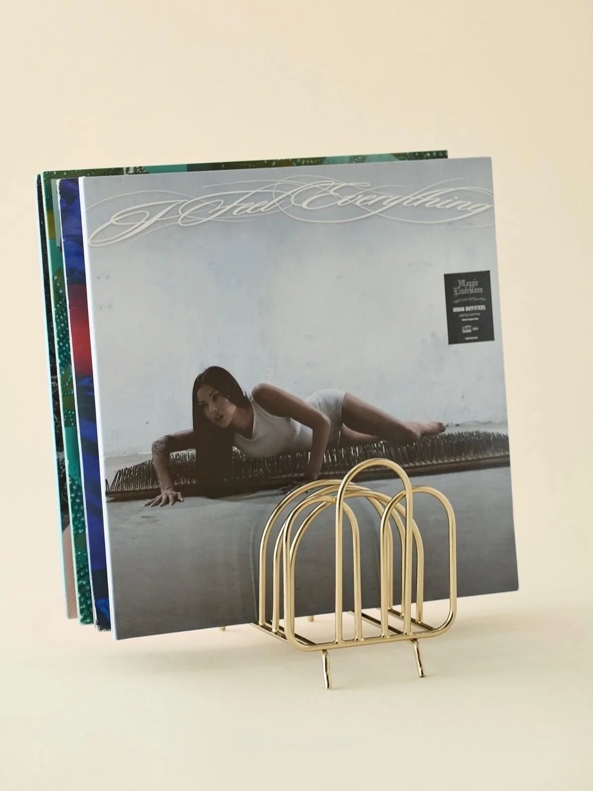 Vera Arch Iron Vinyl Record Storage Rack designed for @urbanoutfittershome

#vinyl #homedecor #productdesign #storage #designer