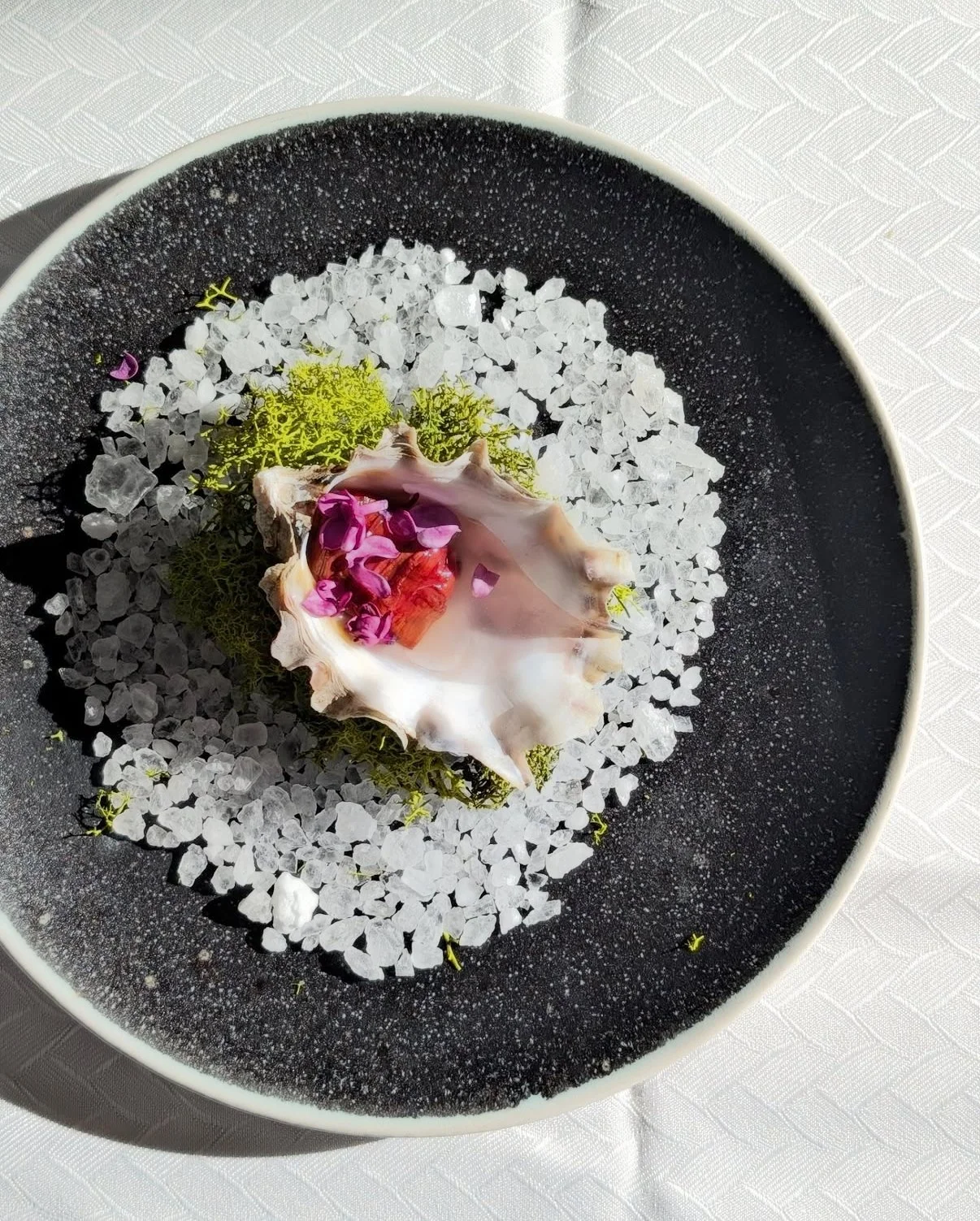 A decorative dish featuring a large seashell with pink flower petals inside, surrounded by salt crystals and green moss on a black plate.