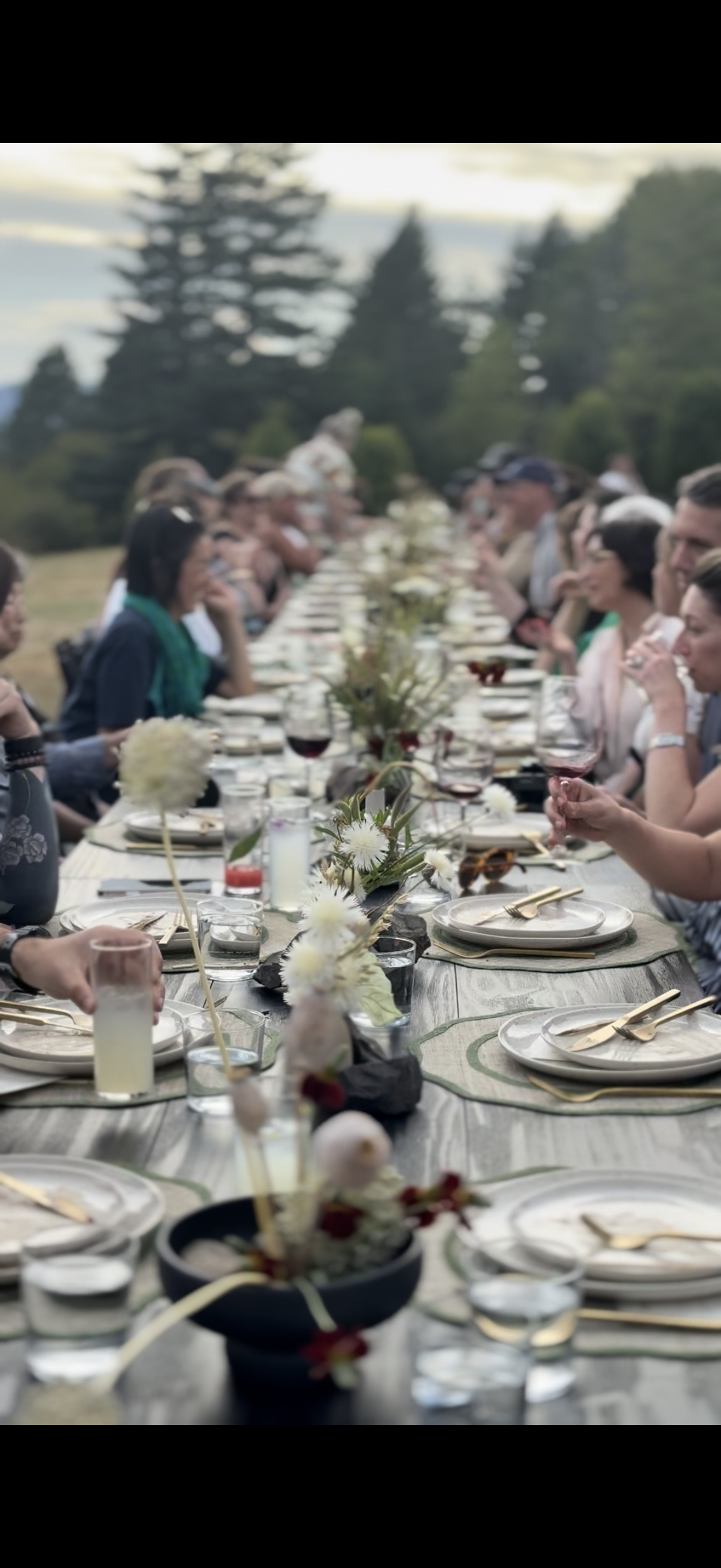 A large outdoor dinner gathering with people seated along both sides of a long table decorated with flowers and tableware, outdoors in a green natural setting.