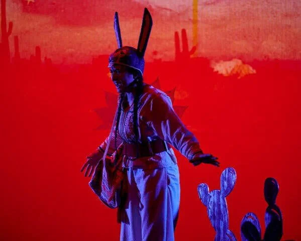 Poncho Rabbit.jpeg