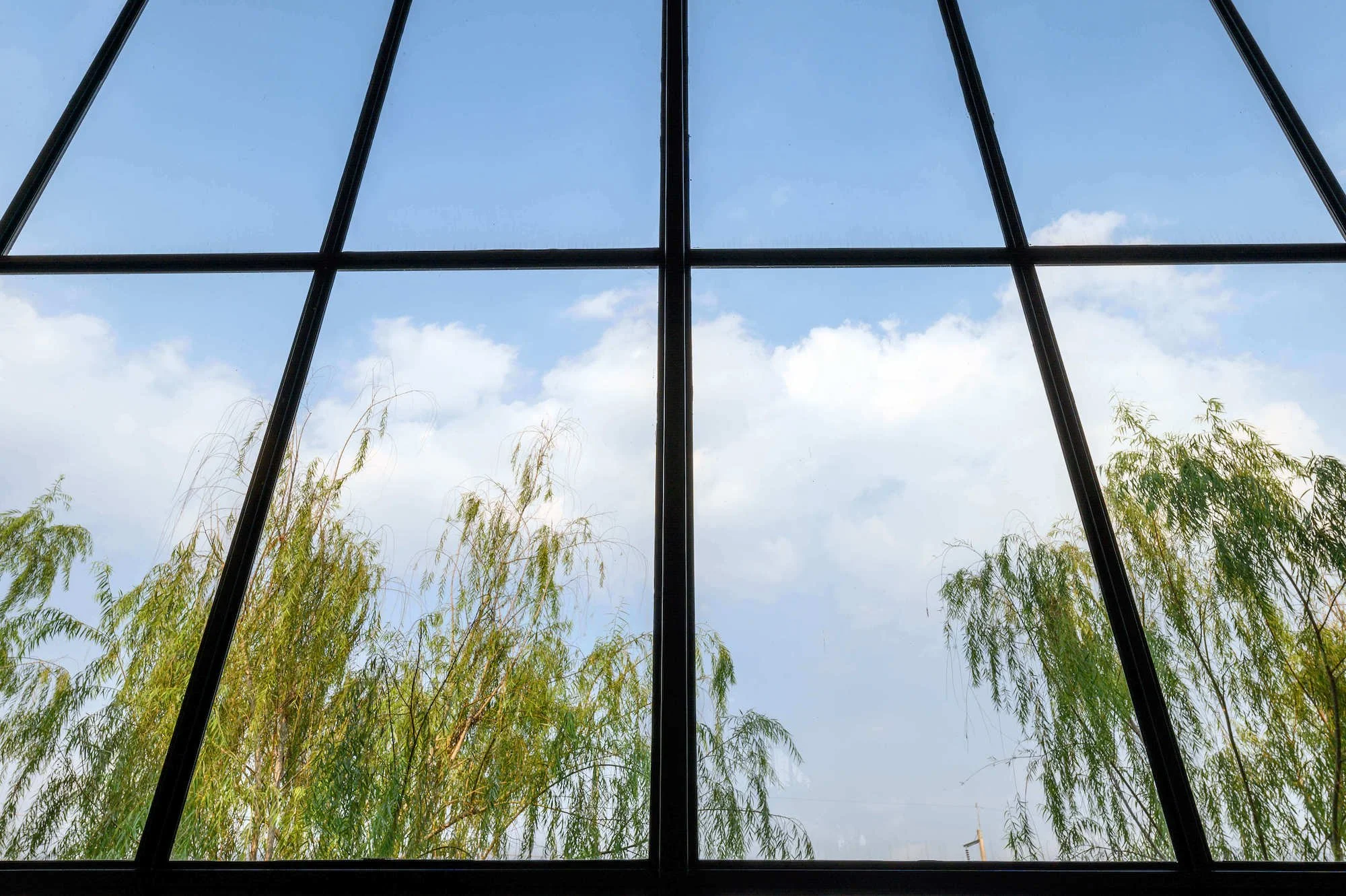 high-windows-design-with-green-tree-and-blue-sky-2023-11-27-05-28-03-utc.jpg